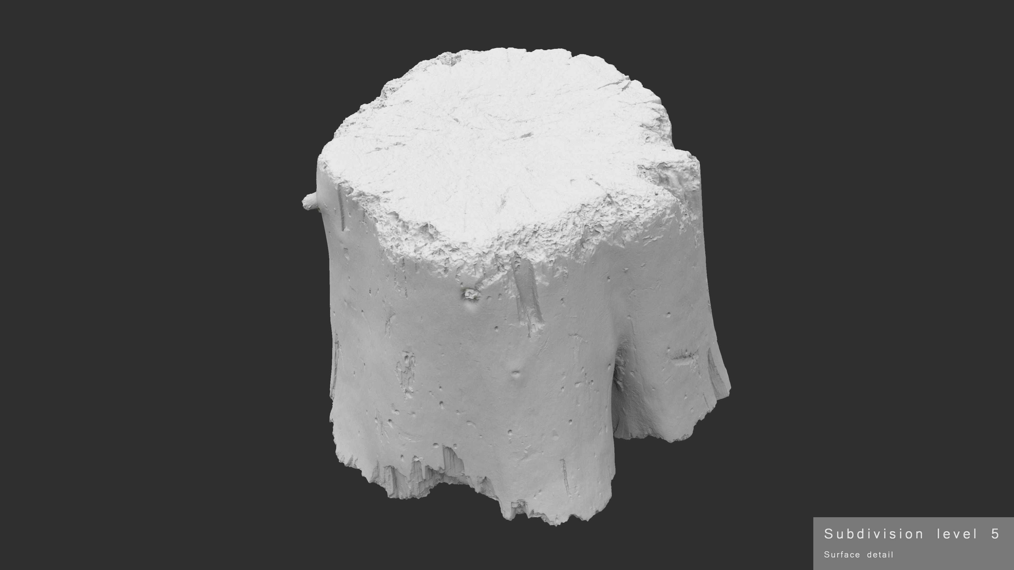 Log Round Big Low-poly 3D model_15