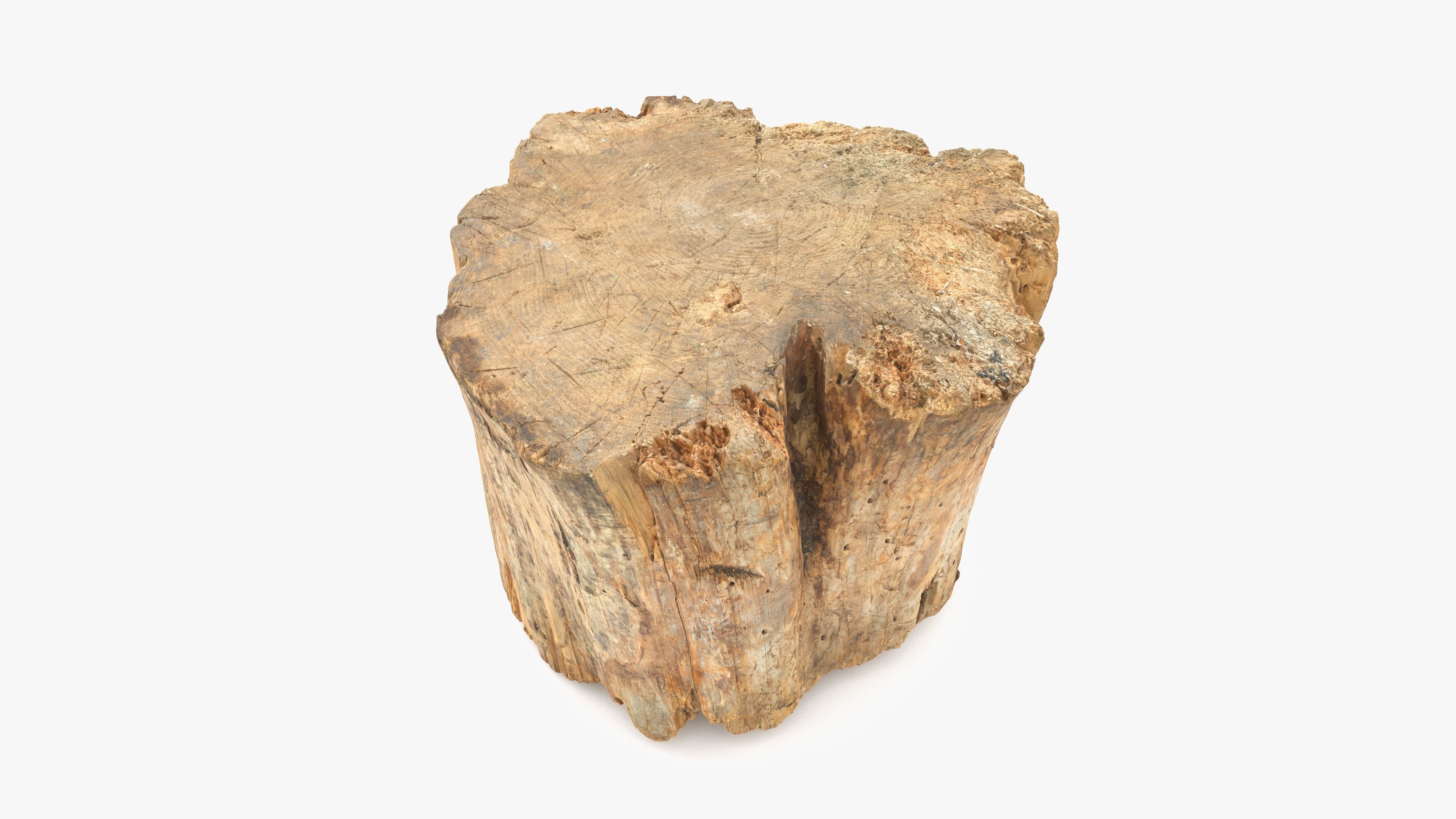 Log Round Big Low-poly 3D model_11