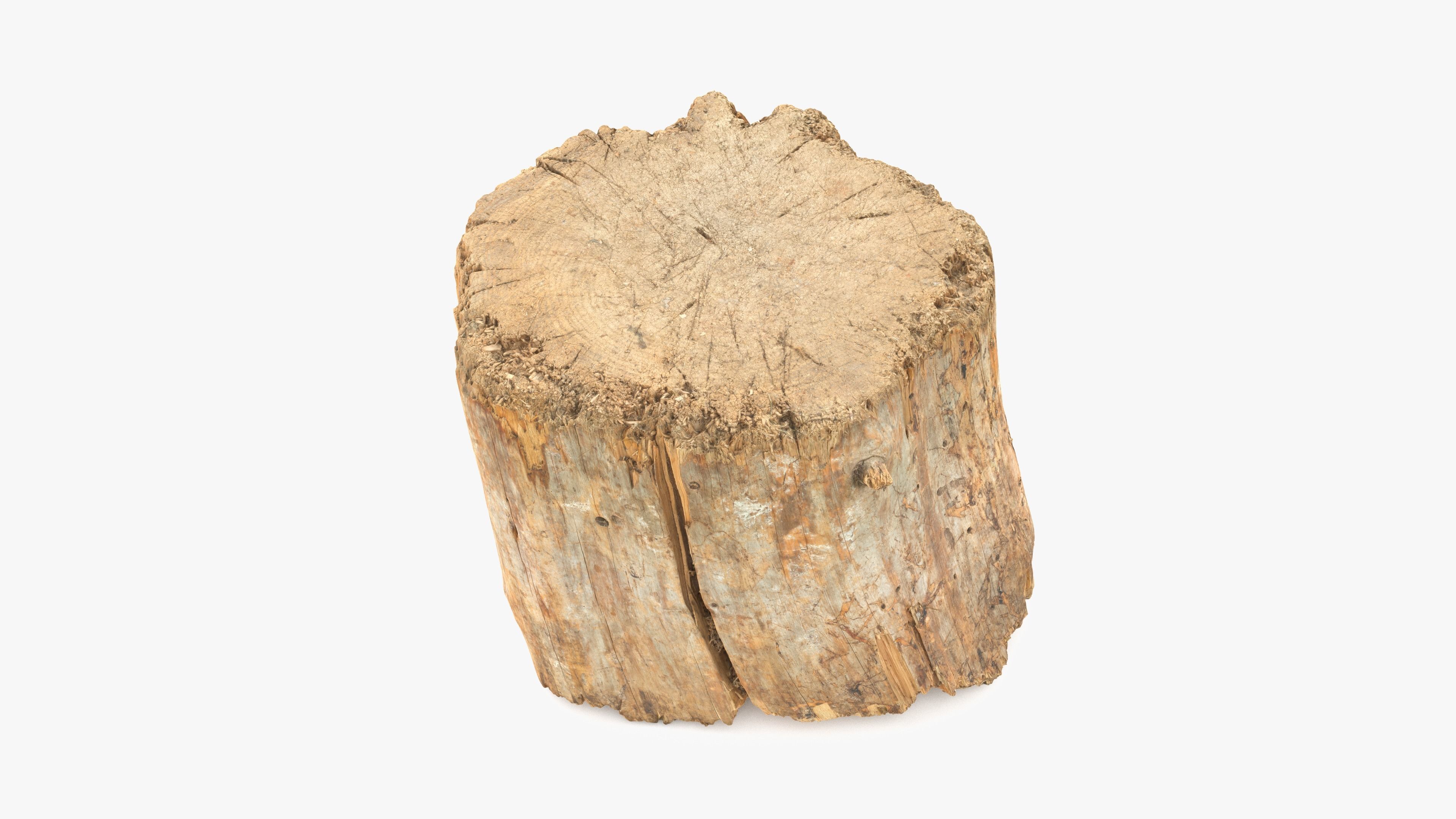 Log Round Big Low-poly 3D model_8