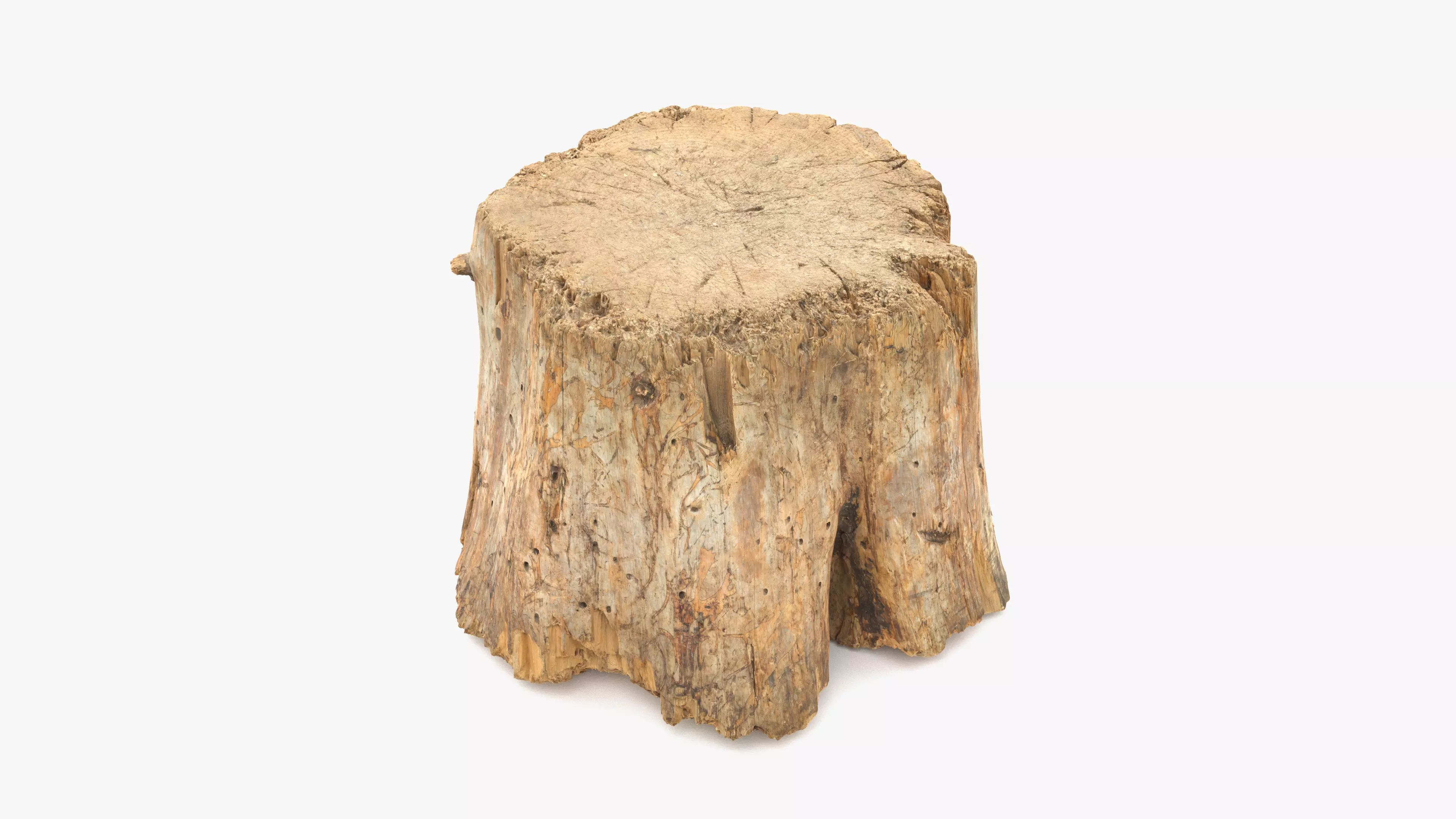 Log Round Big Low-poly 3D model_0