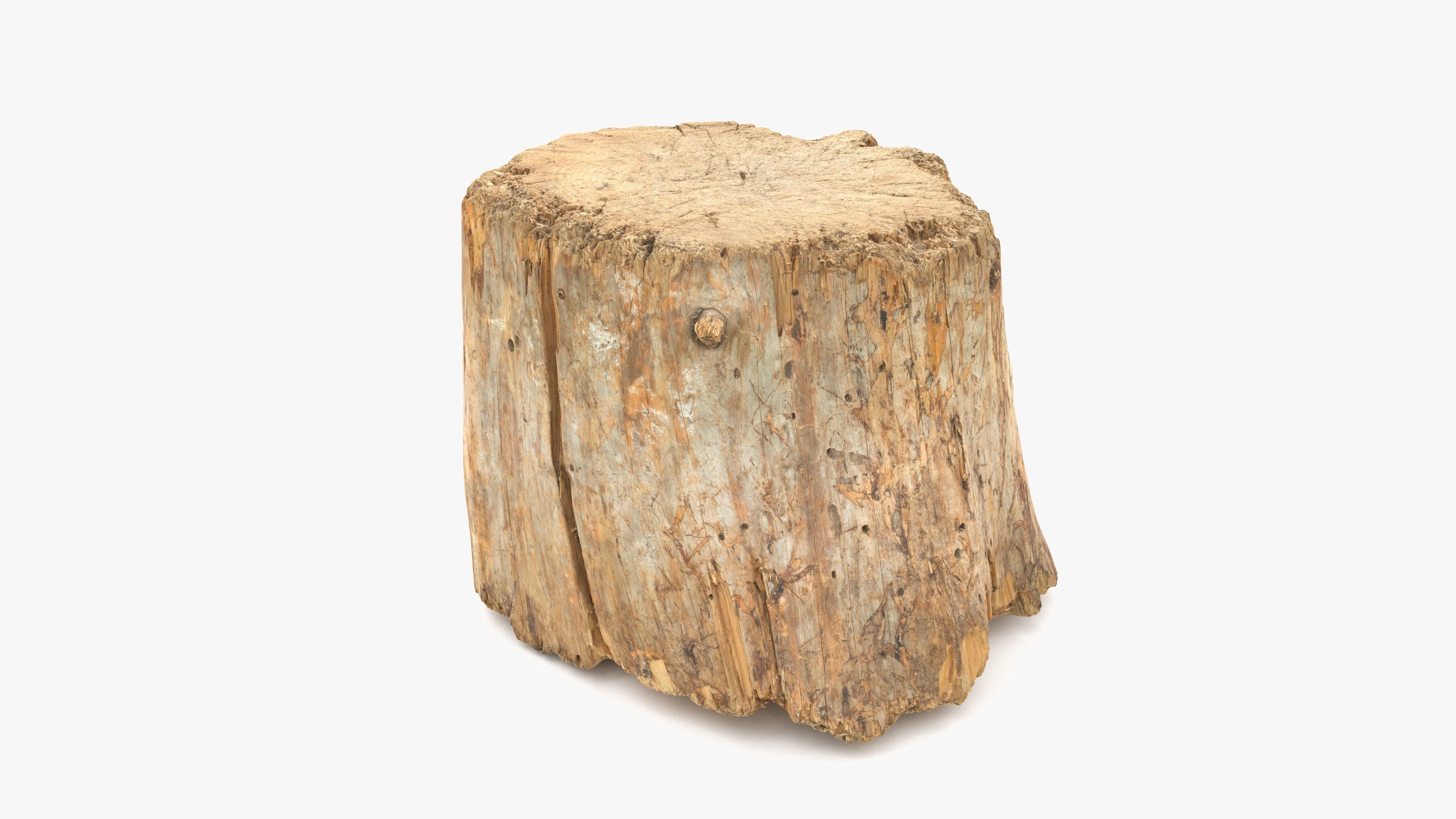 Log Round Big Low-poly 3D model_1