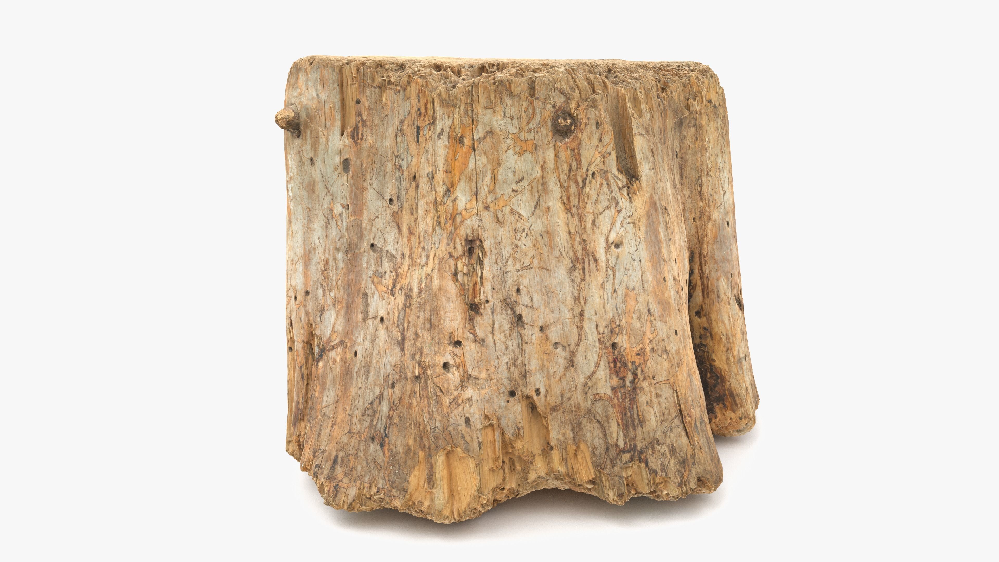 Log Round Big Low-poly 3D model_13