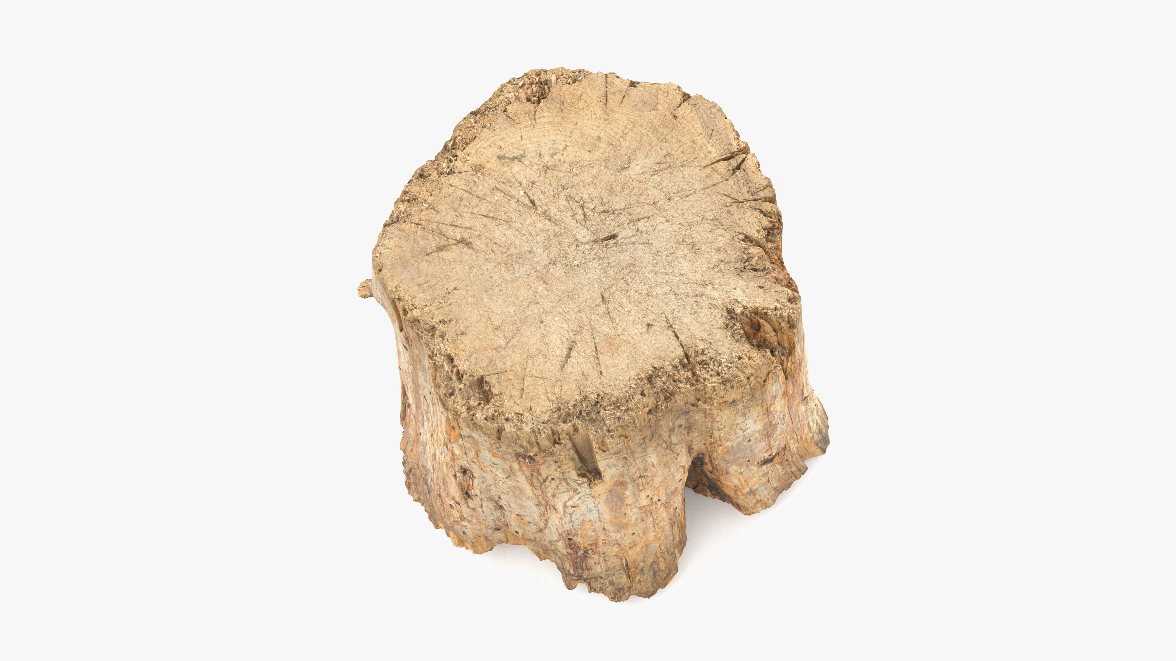 Log Round Big Low-poly 3D model_2