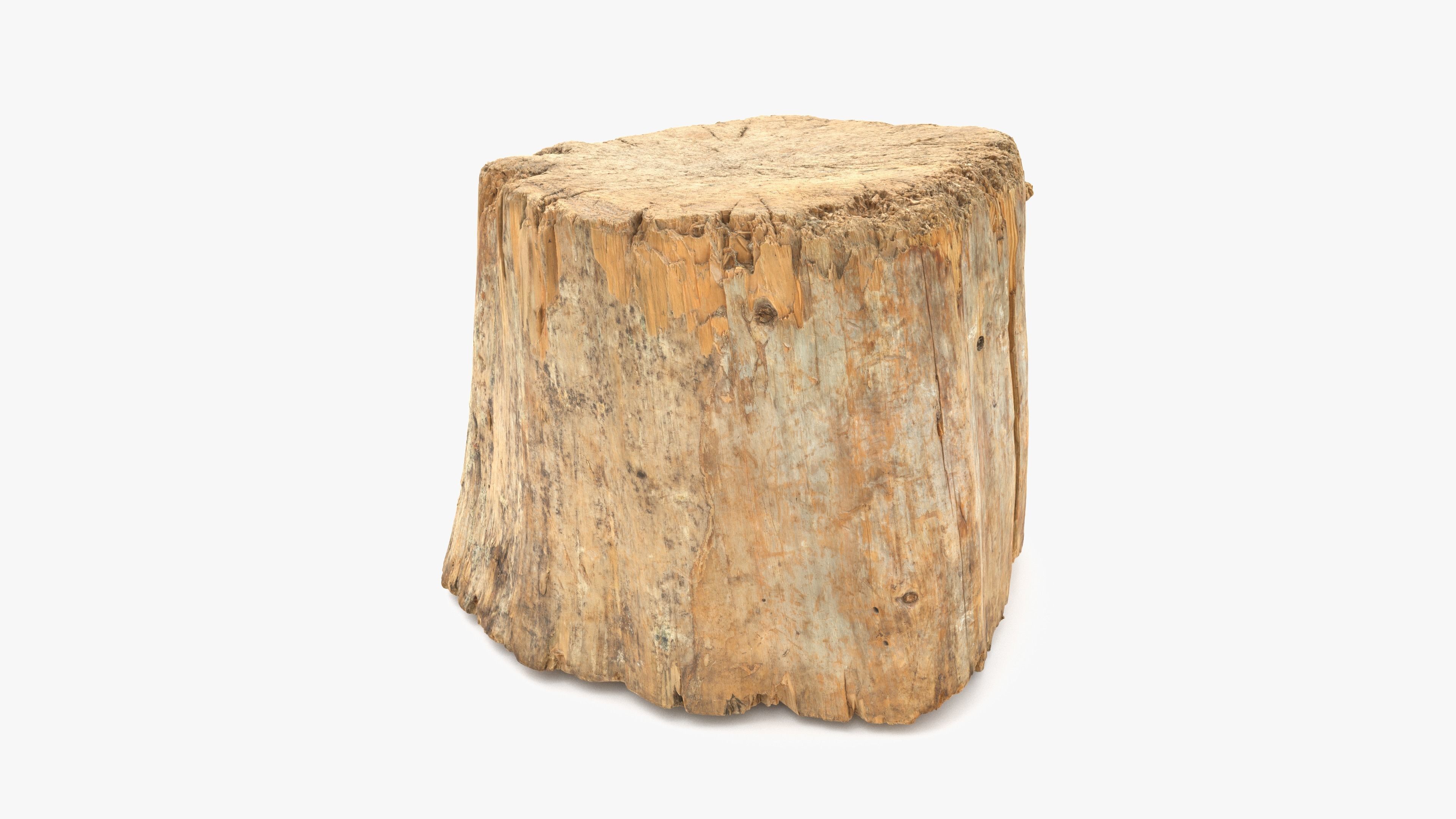 Log Round Big Low-poly 3D model_5