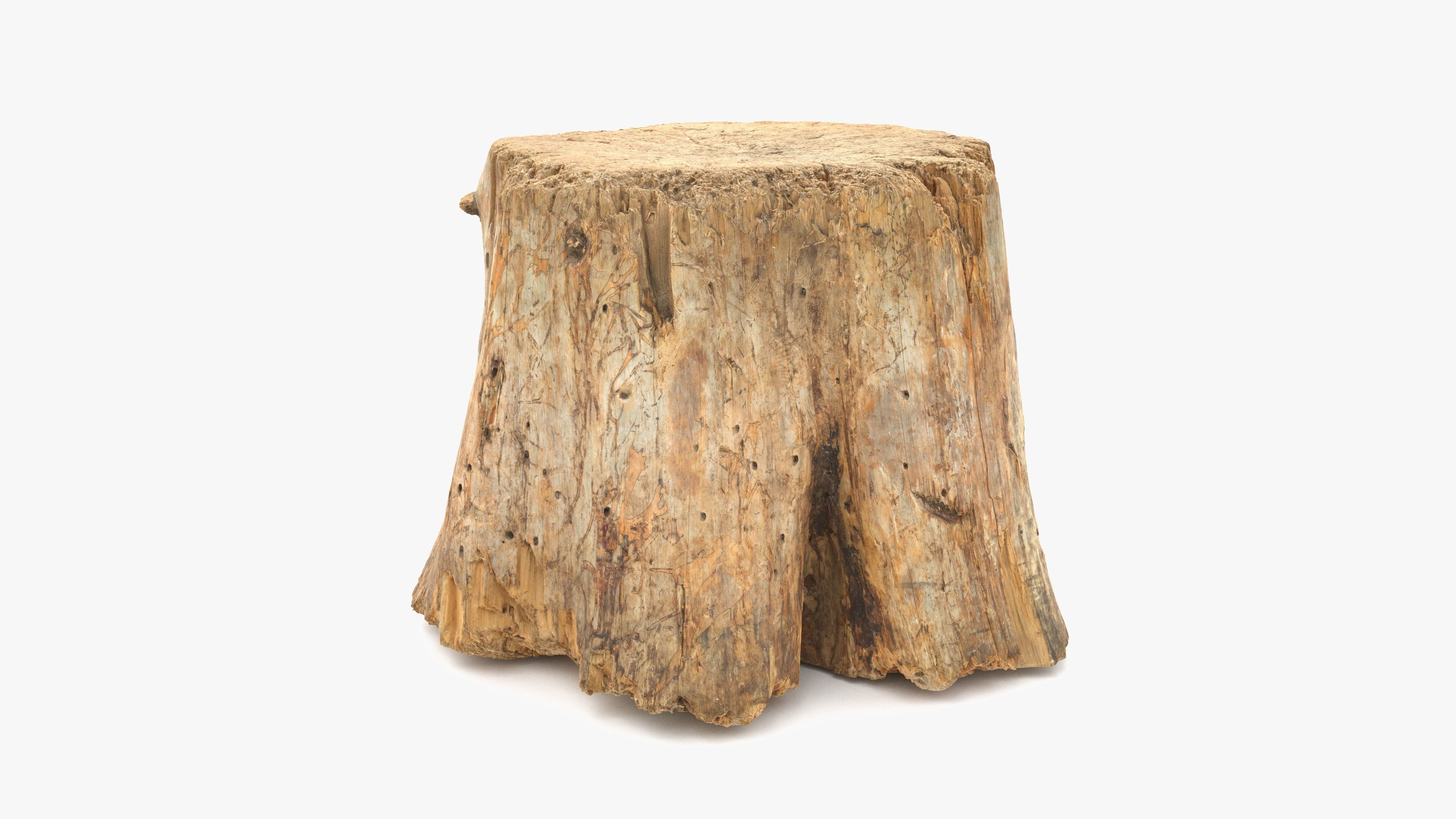 Log Round Big Low-poly 3D model_14