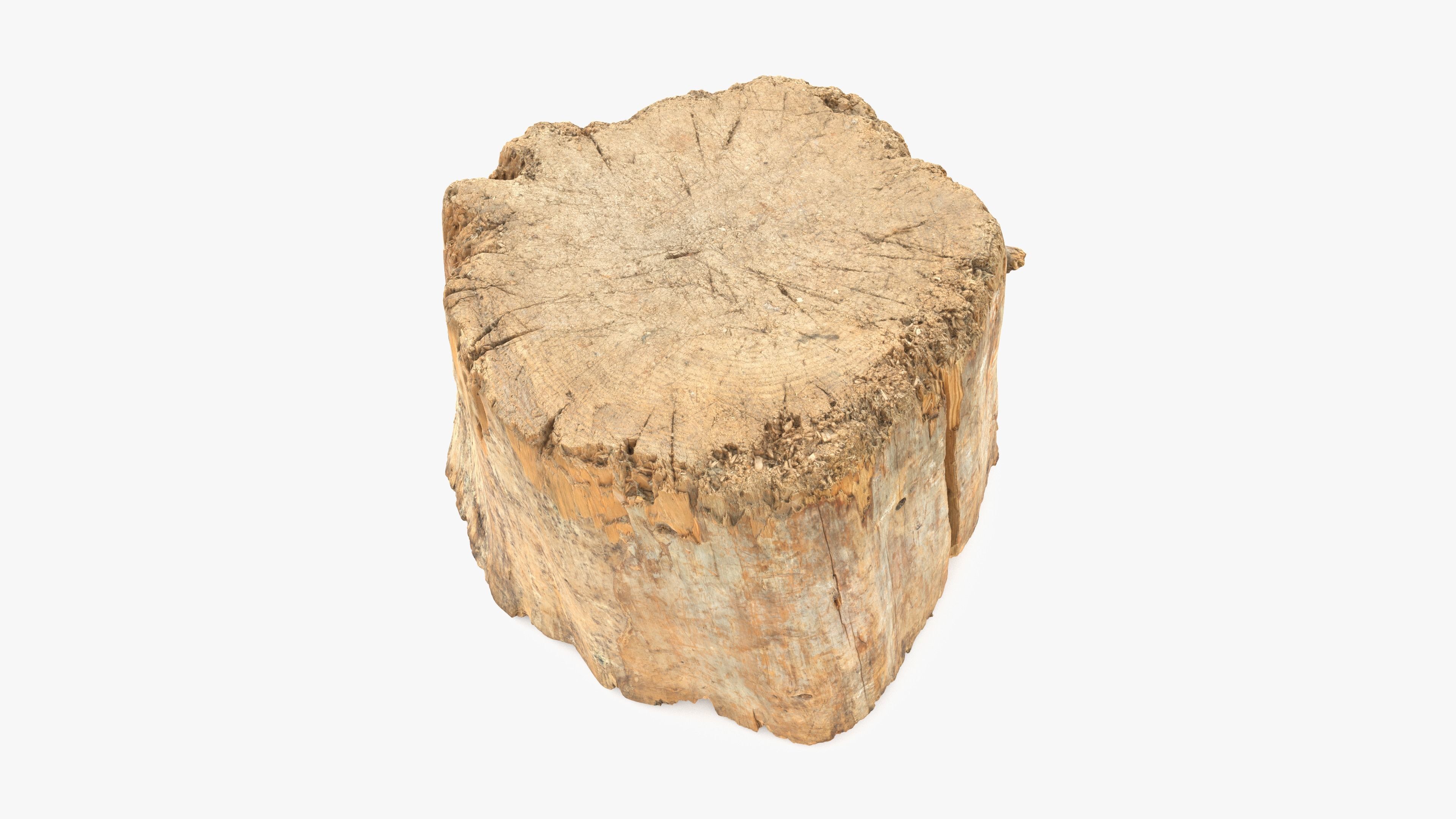 Log Round Big Low-poly 3D model_3