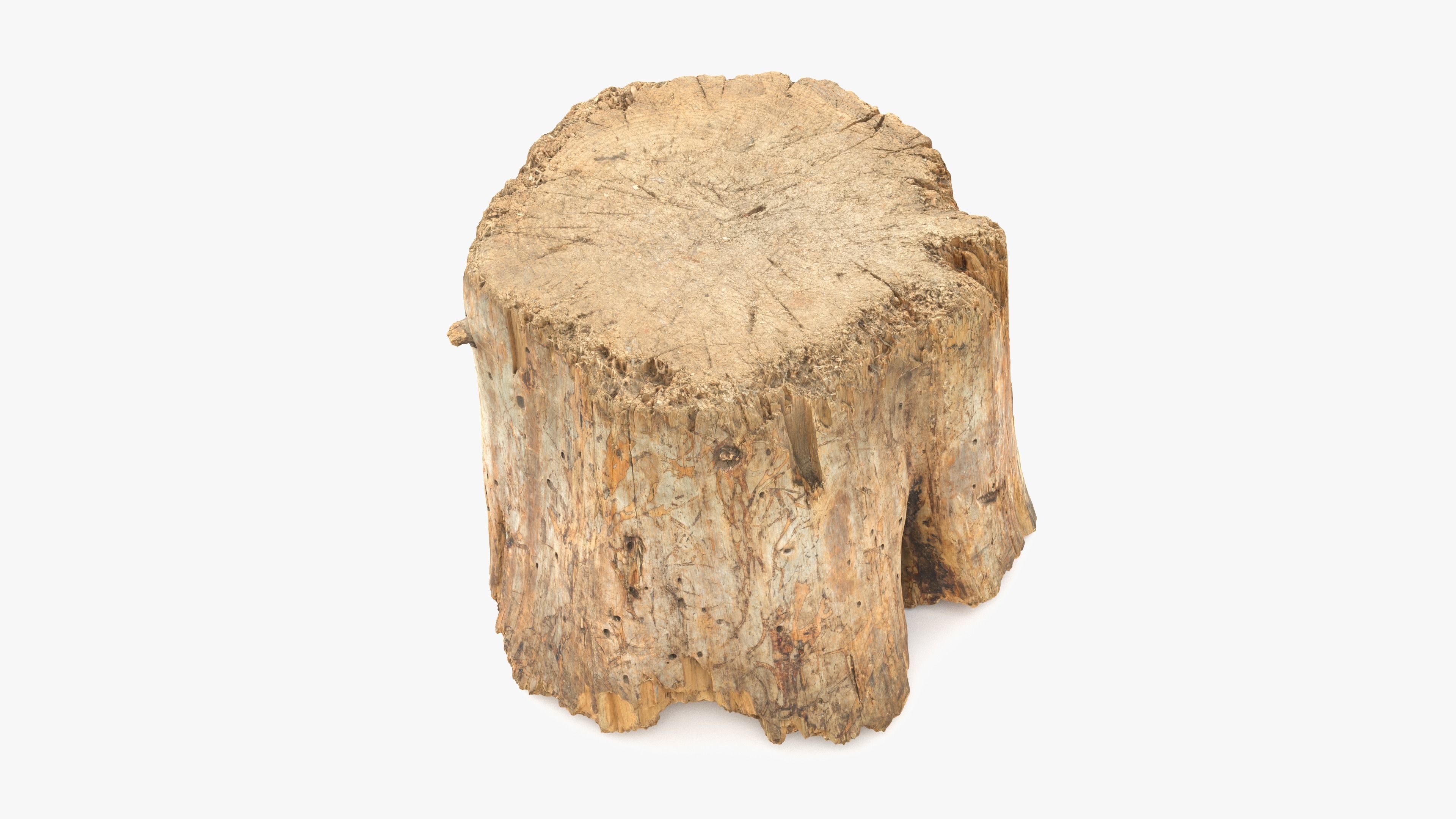 Log Round Big Low-poly 3D model_9