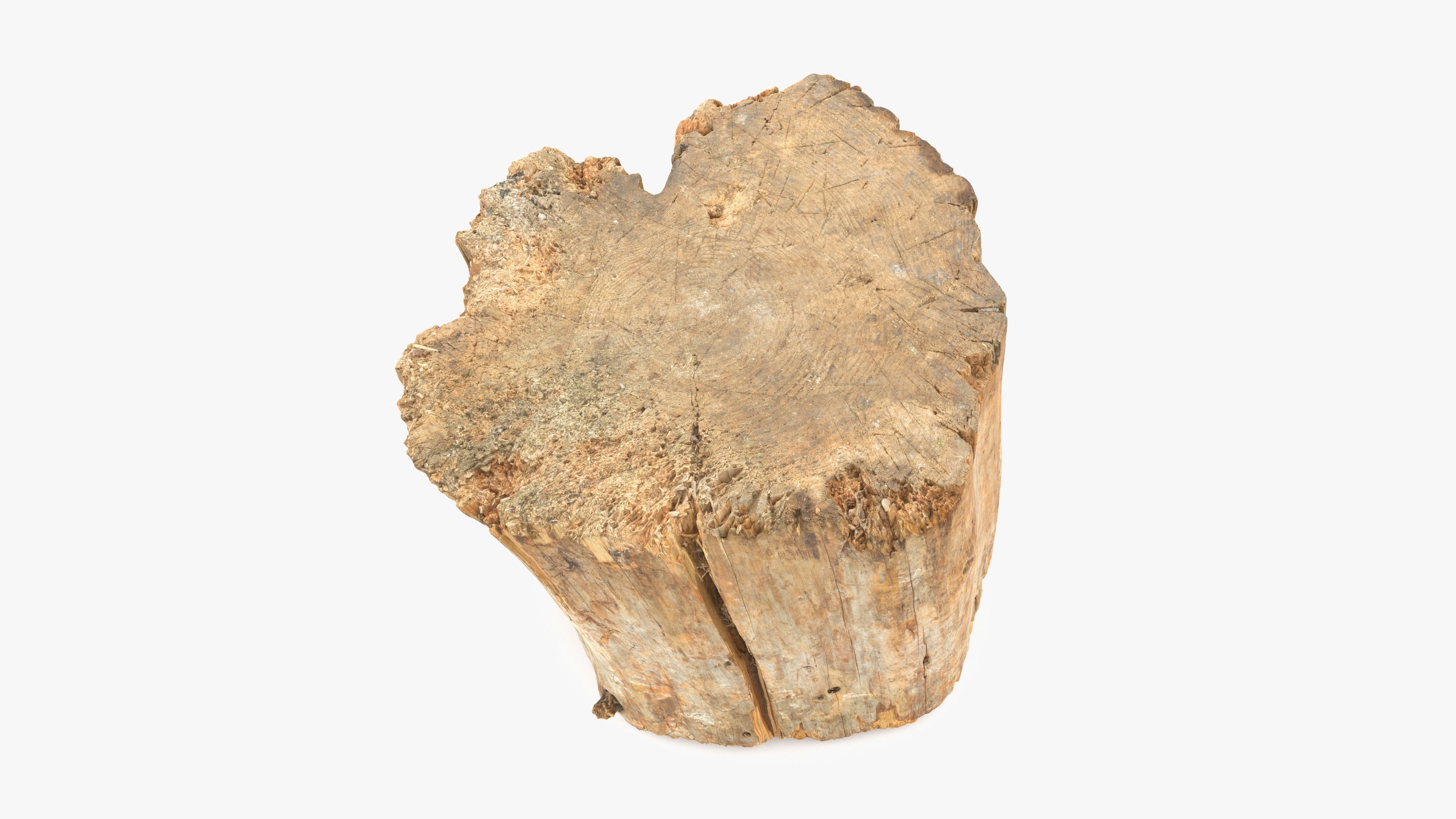 Log Round Big Low-poly 3D model_12