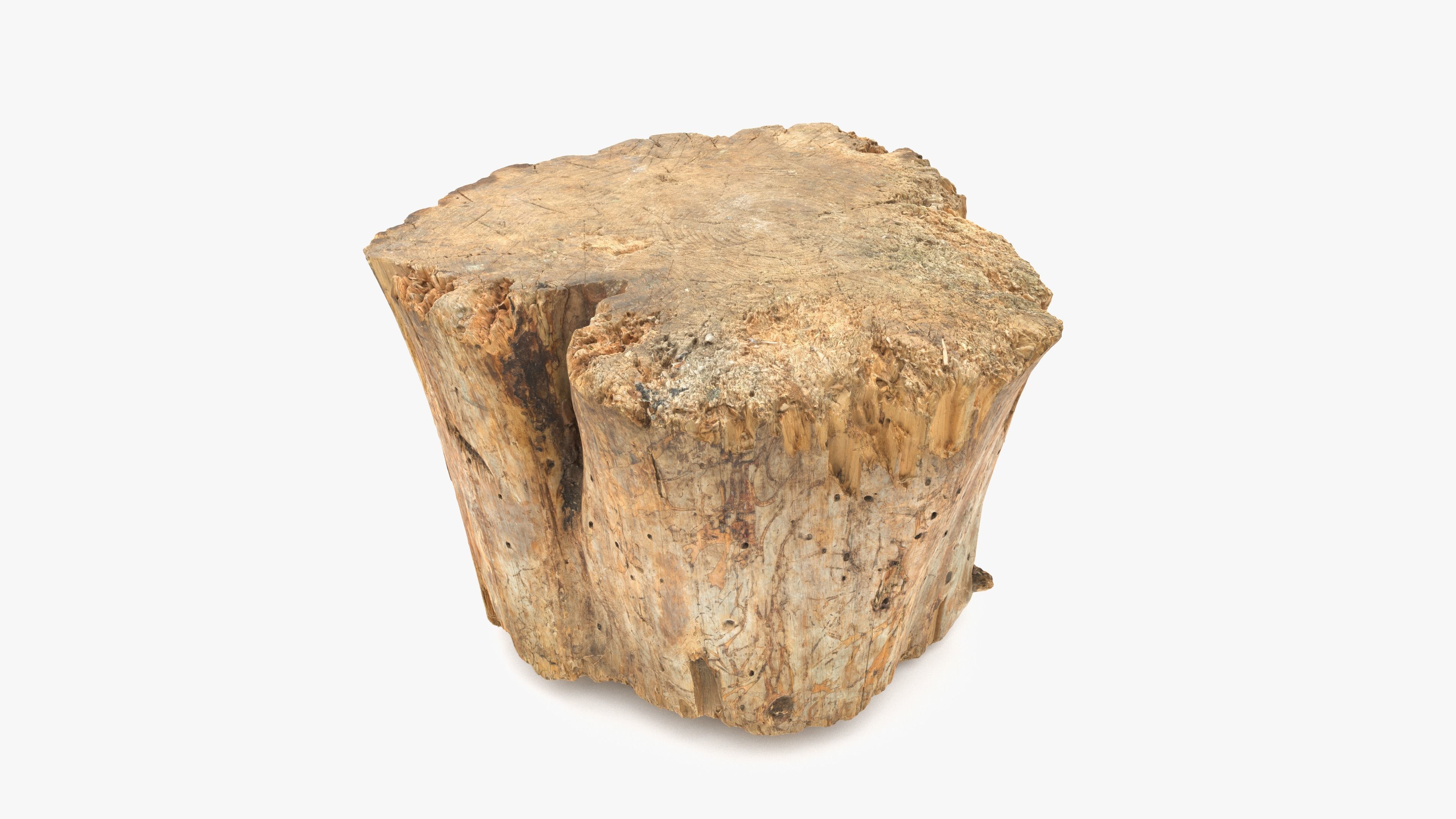 Log Round Big Low-poly 3D model_10