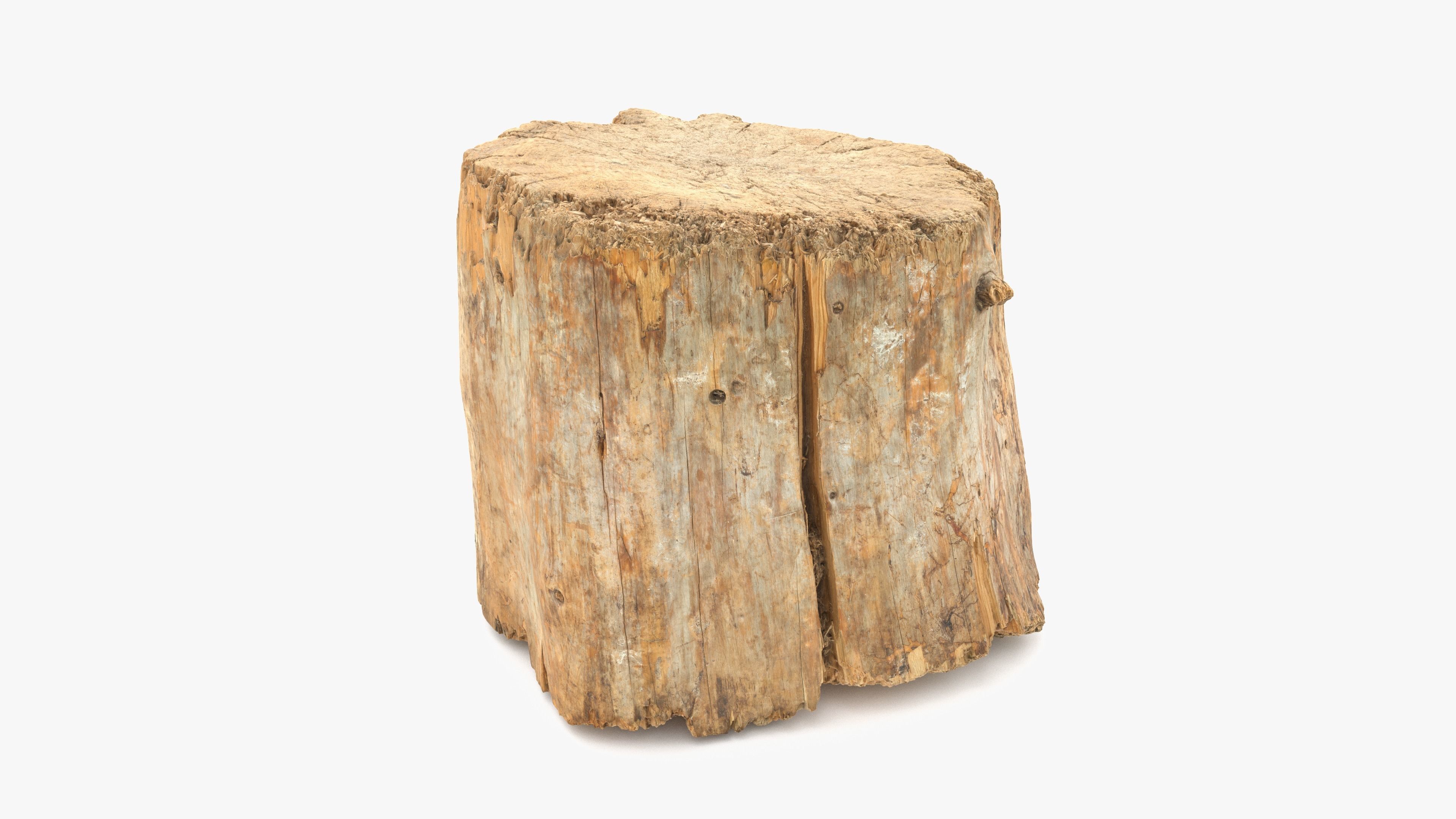 Log Round Big Low-poly 3D model_4