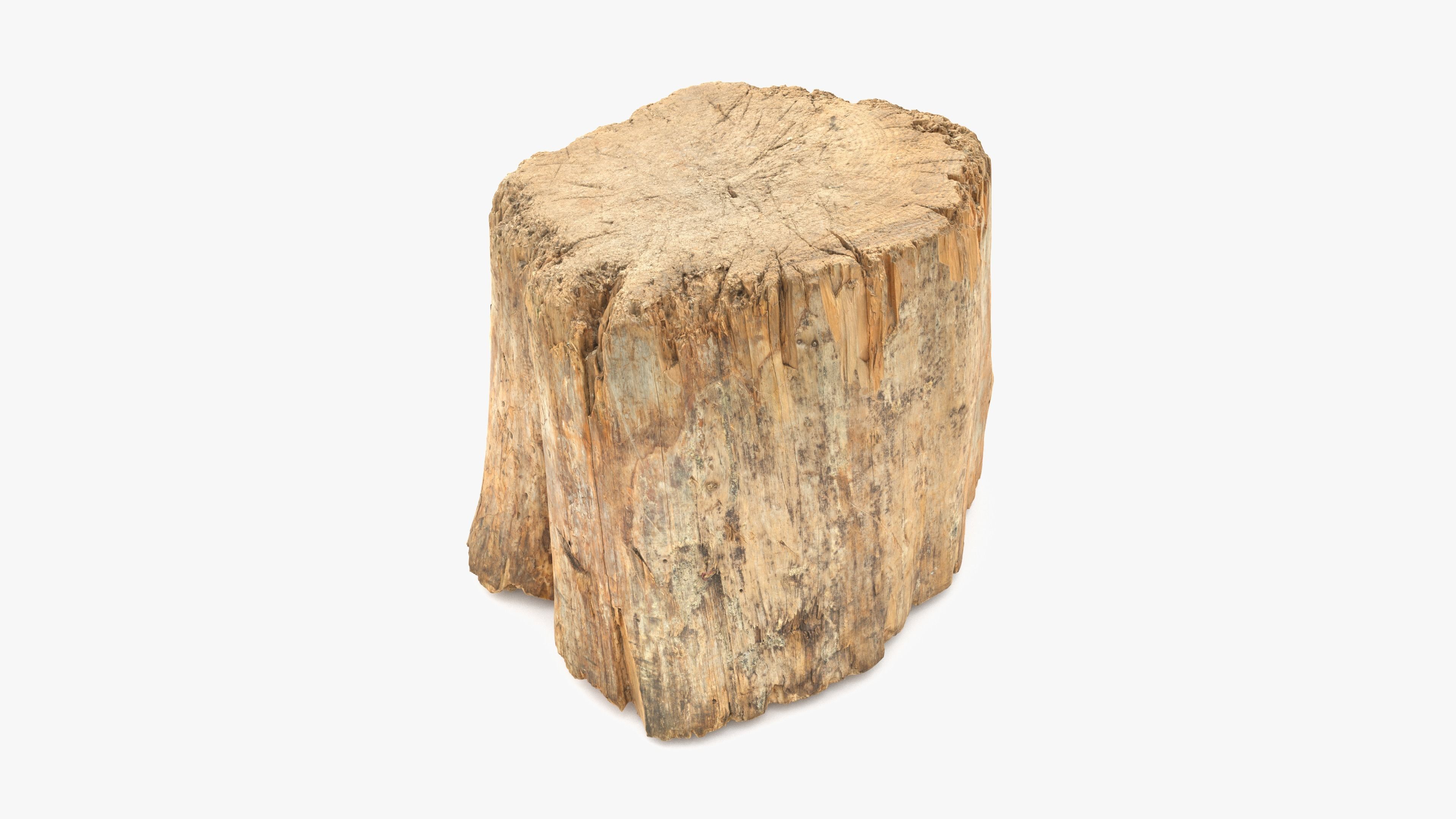 Log Round Big Low-poly 3D model_7