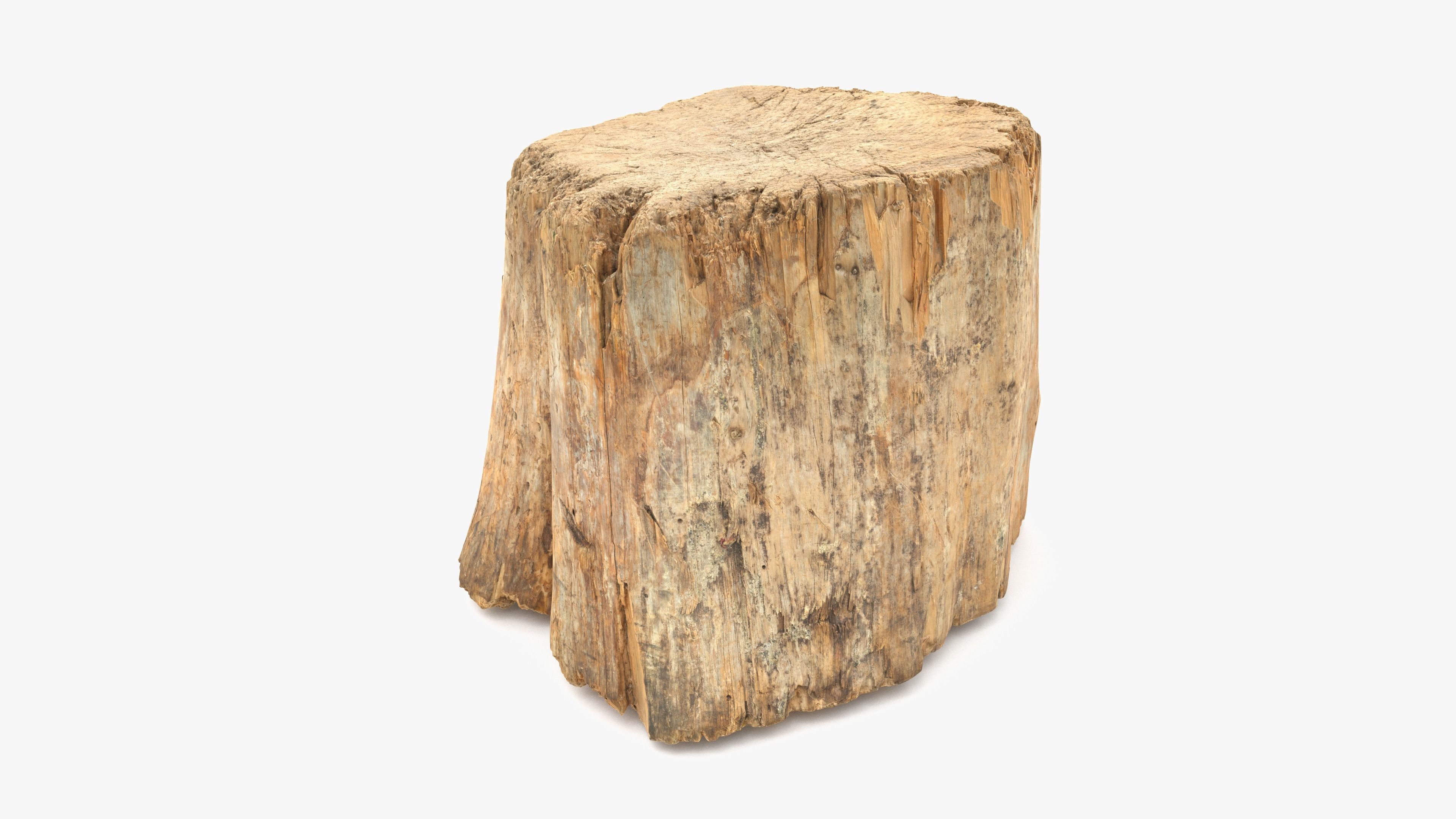 Log Round Big Low-poly 3D model_6