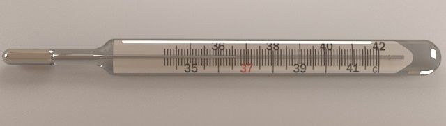 Mercury Thermometer 3D model_3
