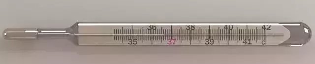 Mercury Thermometer 3D model