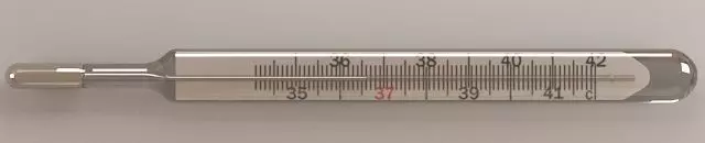 Mercury Thermometer 3D model_0