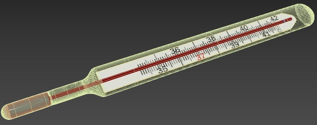 Mercury Thermometer 3D model_4