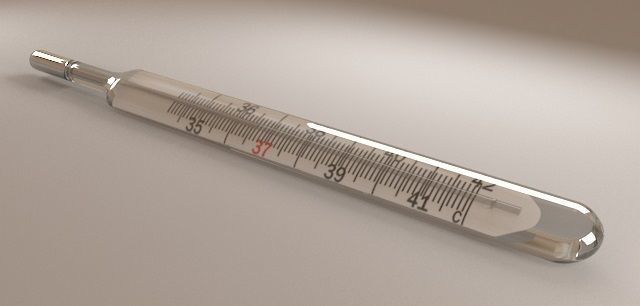 Mercury Thermometer 3D model_2