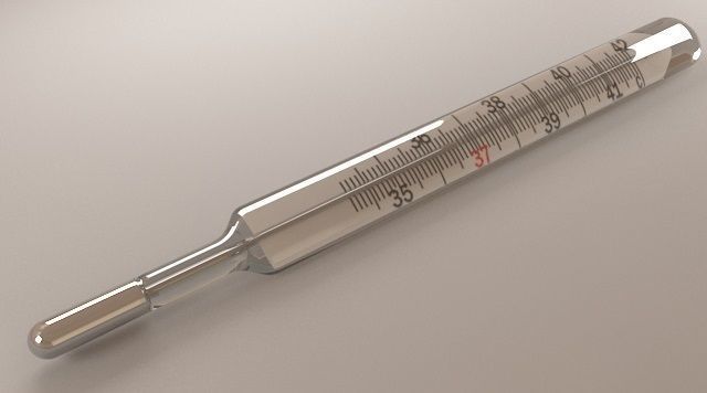 Mercury Thermometer 3D model_1