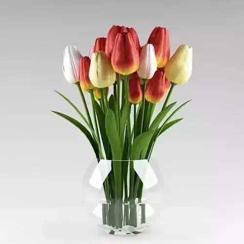 Ornamental plant 14 multicolors tulips