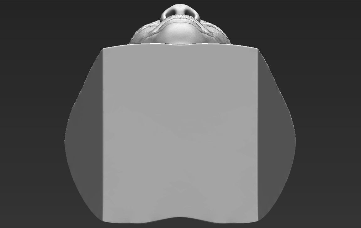 Dr Dre bust 3D printing ready stl obj formats 3D print model_20