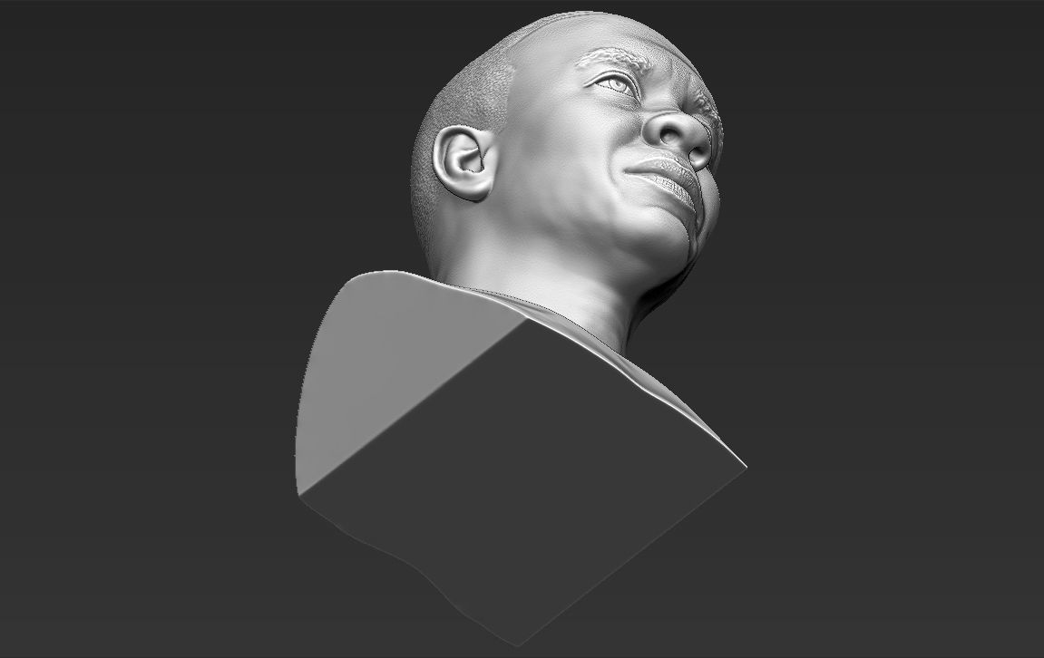 Dr Dre bust 3D printing ready stl obj formats 3D print model_18