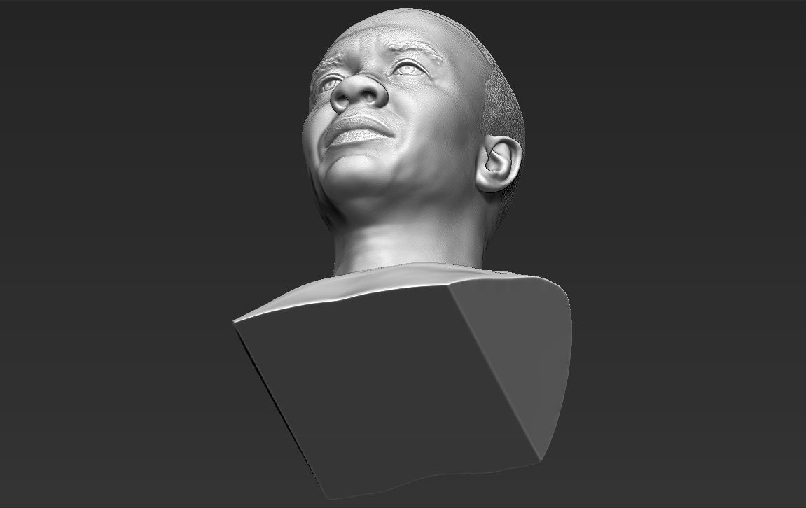 Dr Dre bust 3D printing ready stl obj formats 3D print model_19