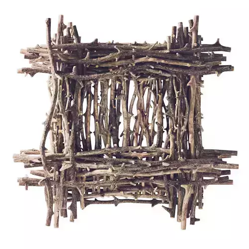 Branch decor old tree Two n2 