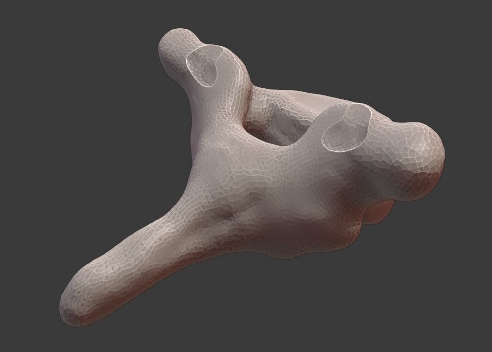 Spine and skull 3D print model_16