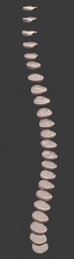 Spine and skull 3D print model_11