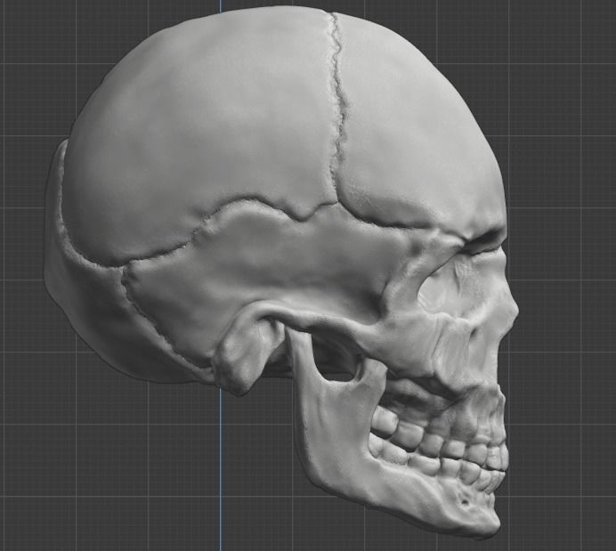 Spine and skull 3D print model_31