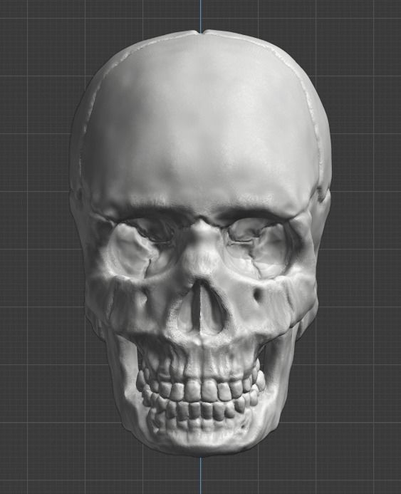 Spine and skull 3D print model_30