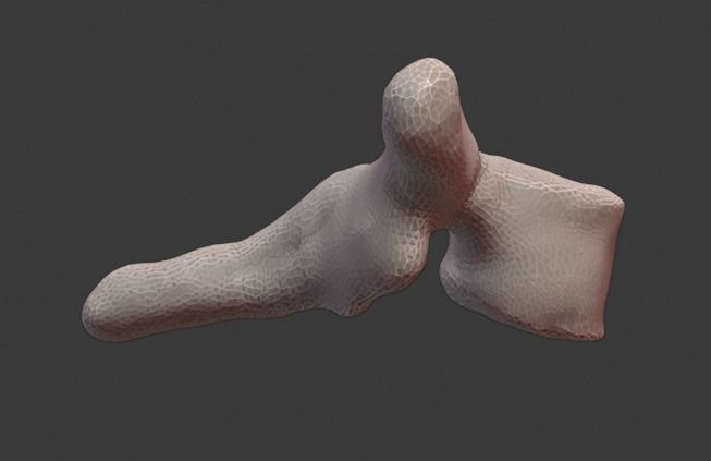 Spine and skull 3D print model_18