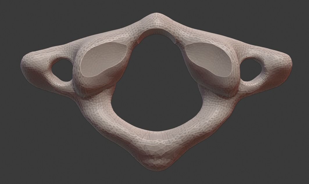 Spine and skull 3D print model_14