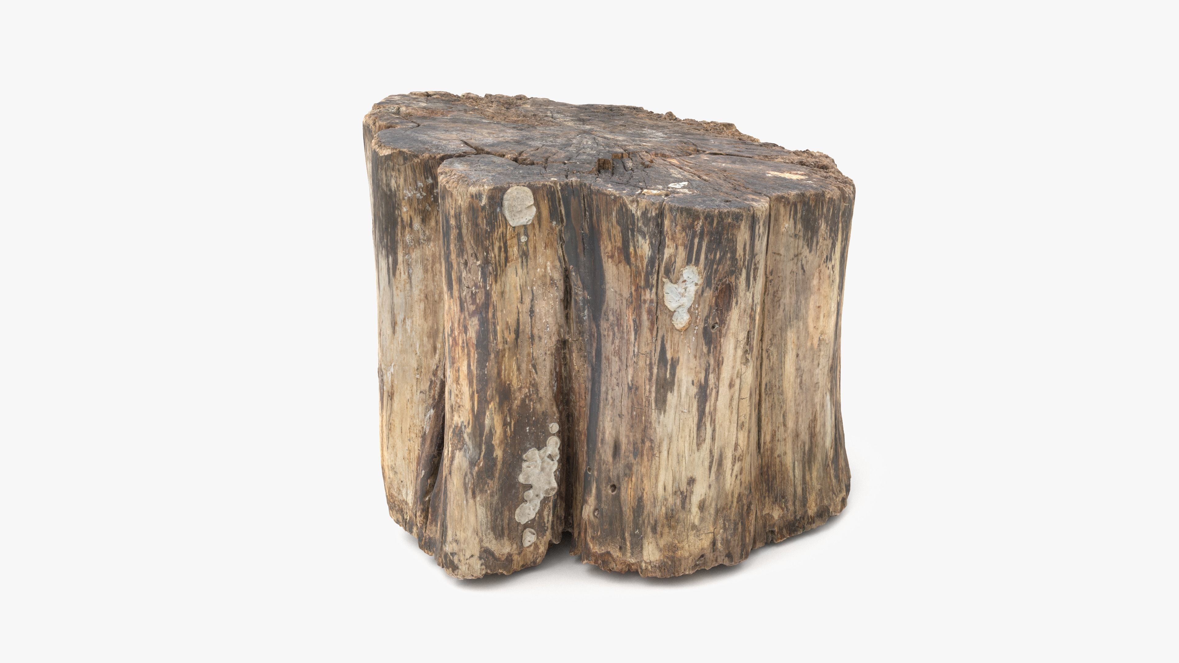 Log Rotten Low-poly 3D model_1