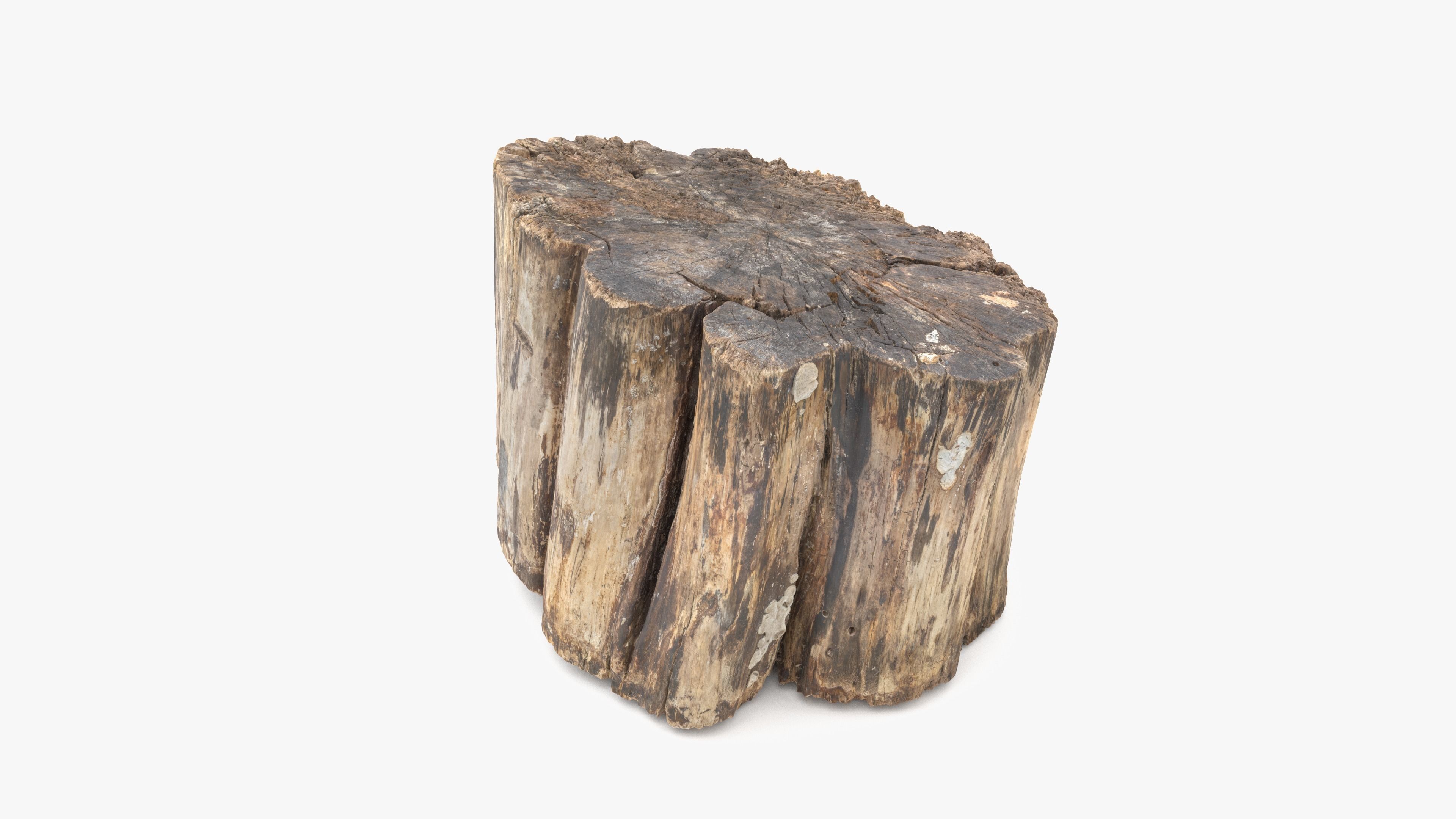 Log Rotten Low-poly 3D model_13