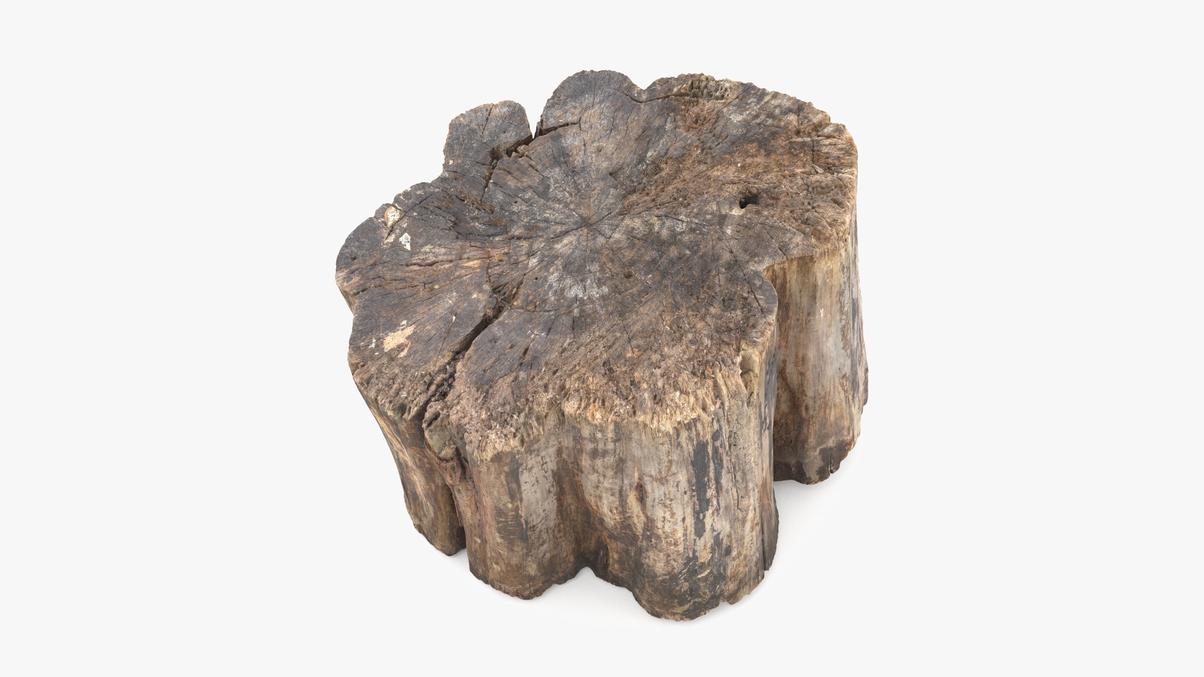 Log Rotten Low-poly 3D model_6