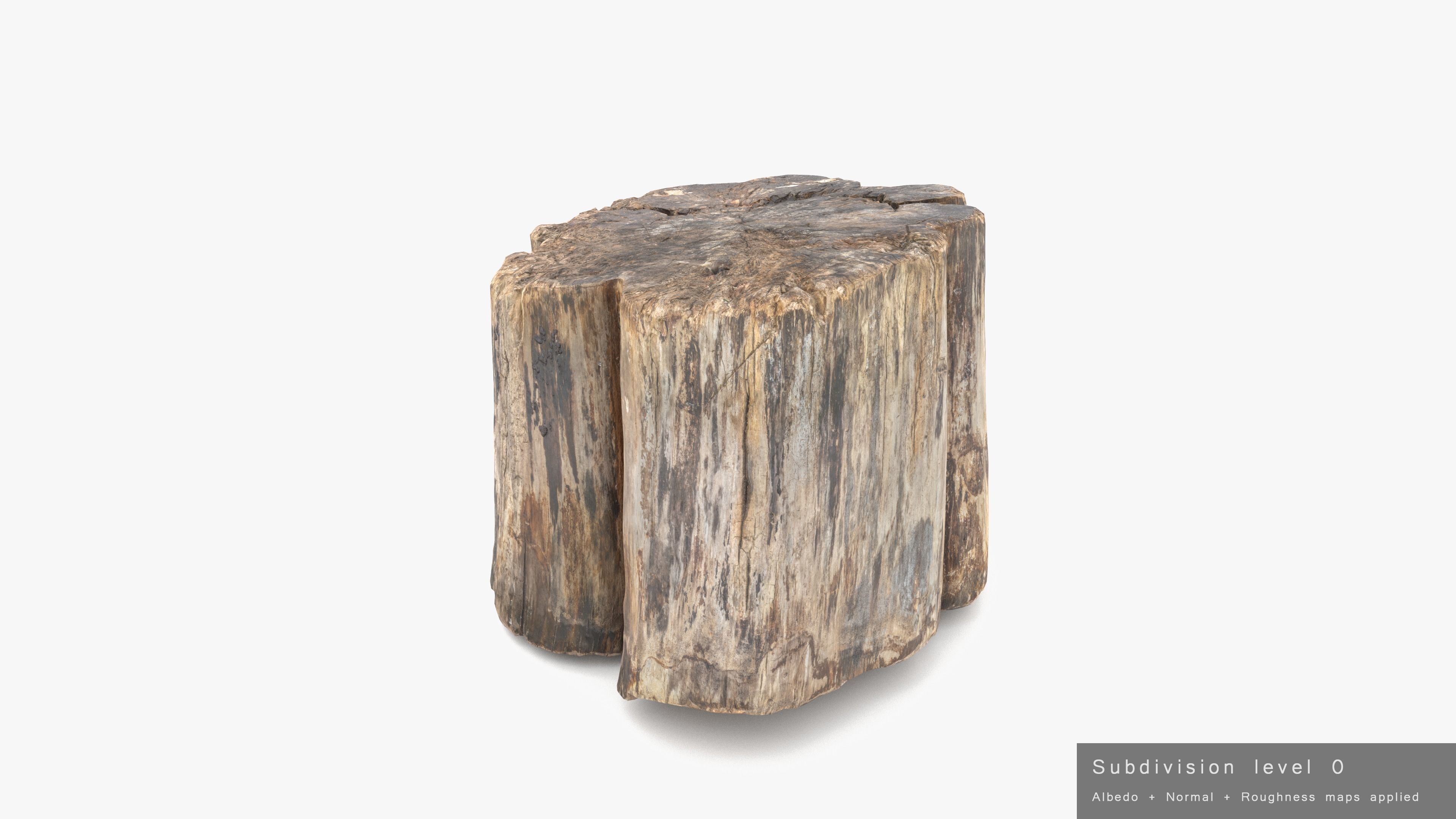 Log Rotten Low-poly 3D model_22
