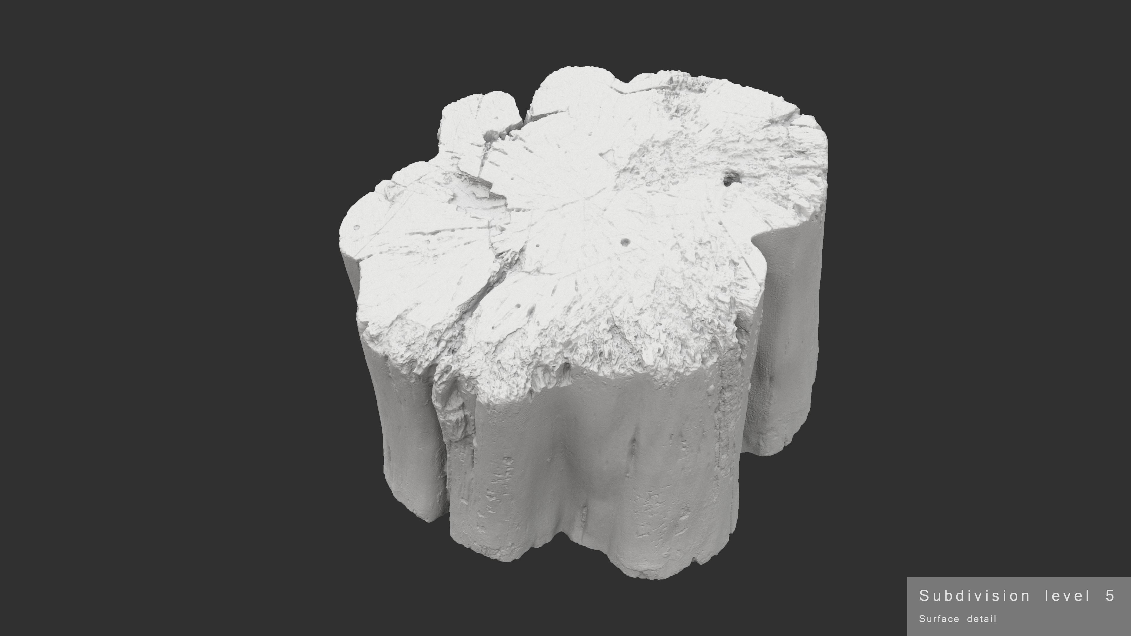 Log Rotten Low-poly 3D model_19