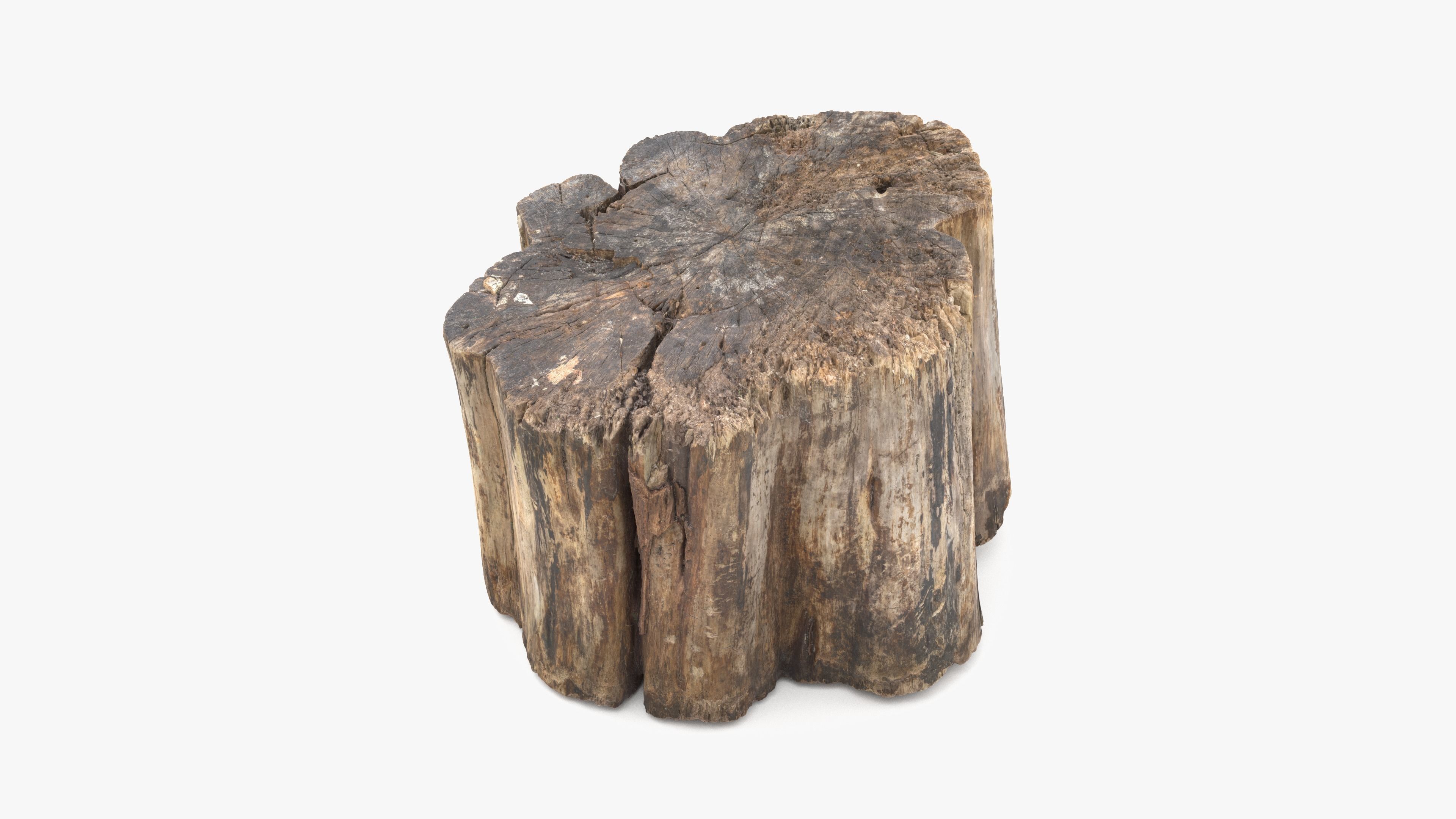 Log Rotten Low-poly 3D model_17
