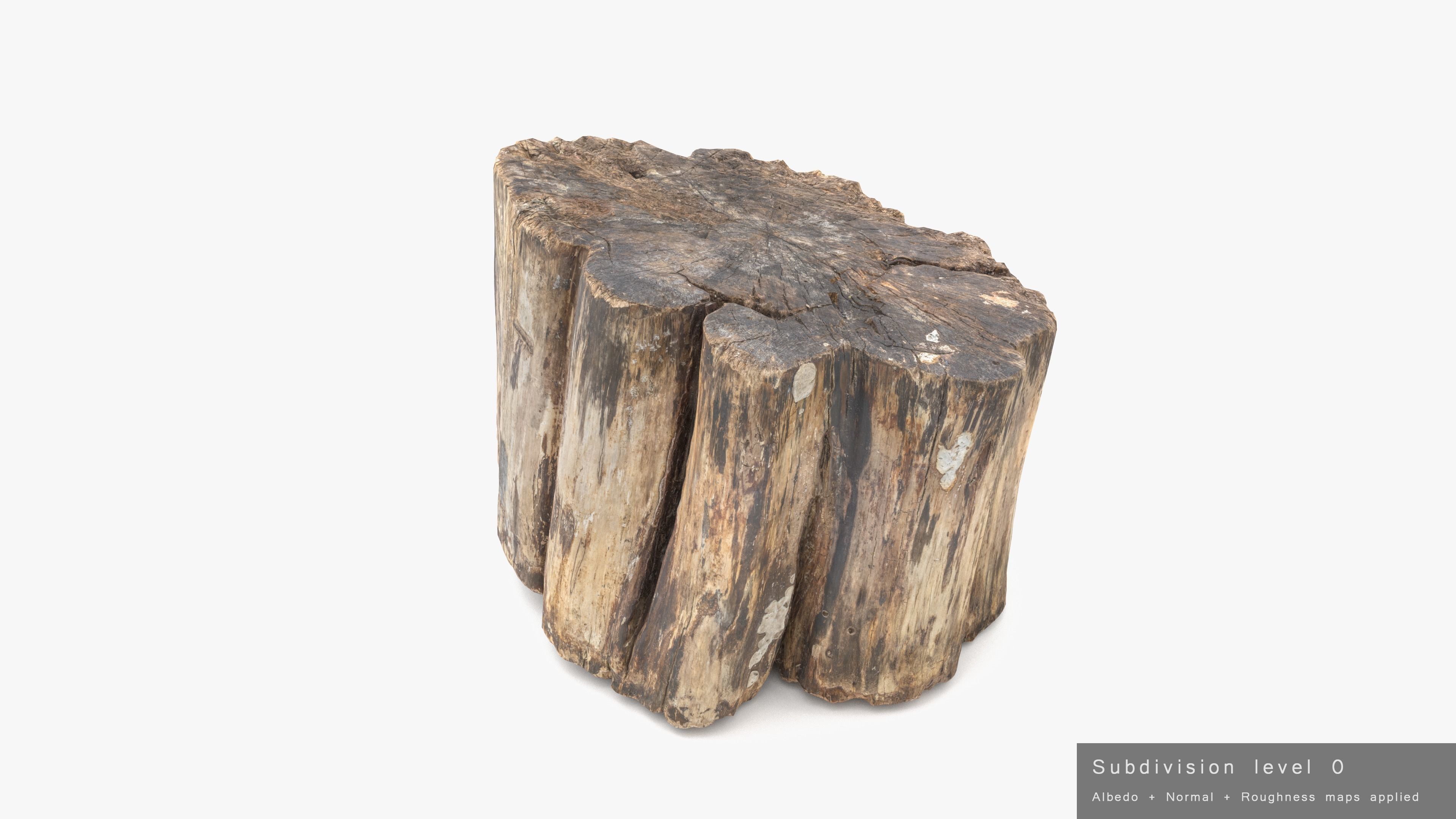 Log Rotten Low-poly 3D model_21