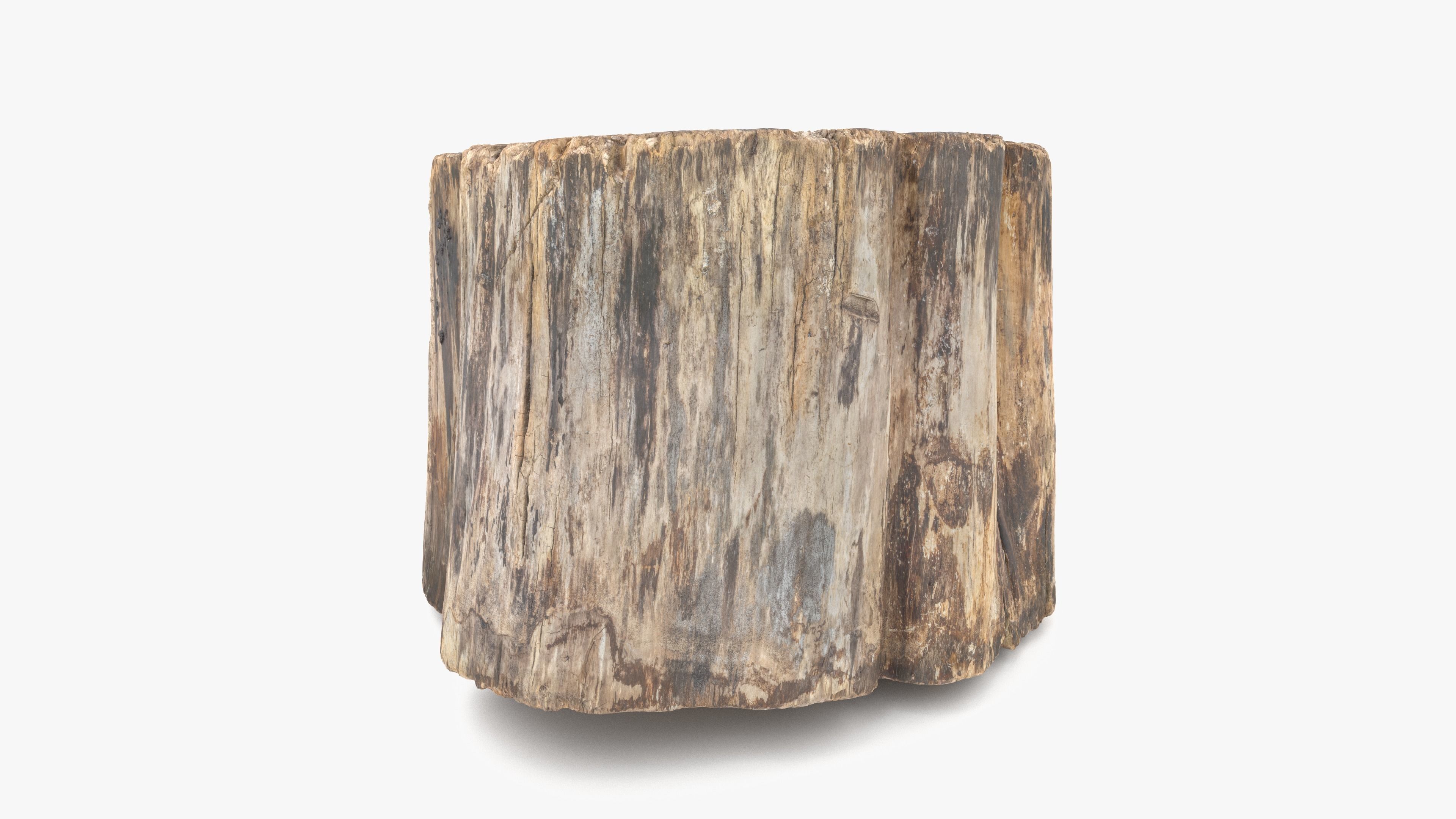 Log Rotten Low-poly 3D model_2