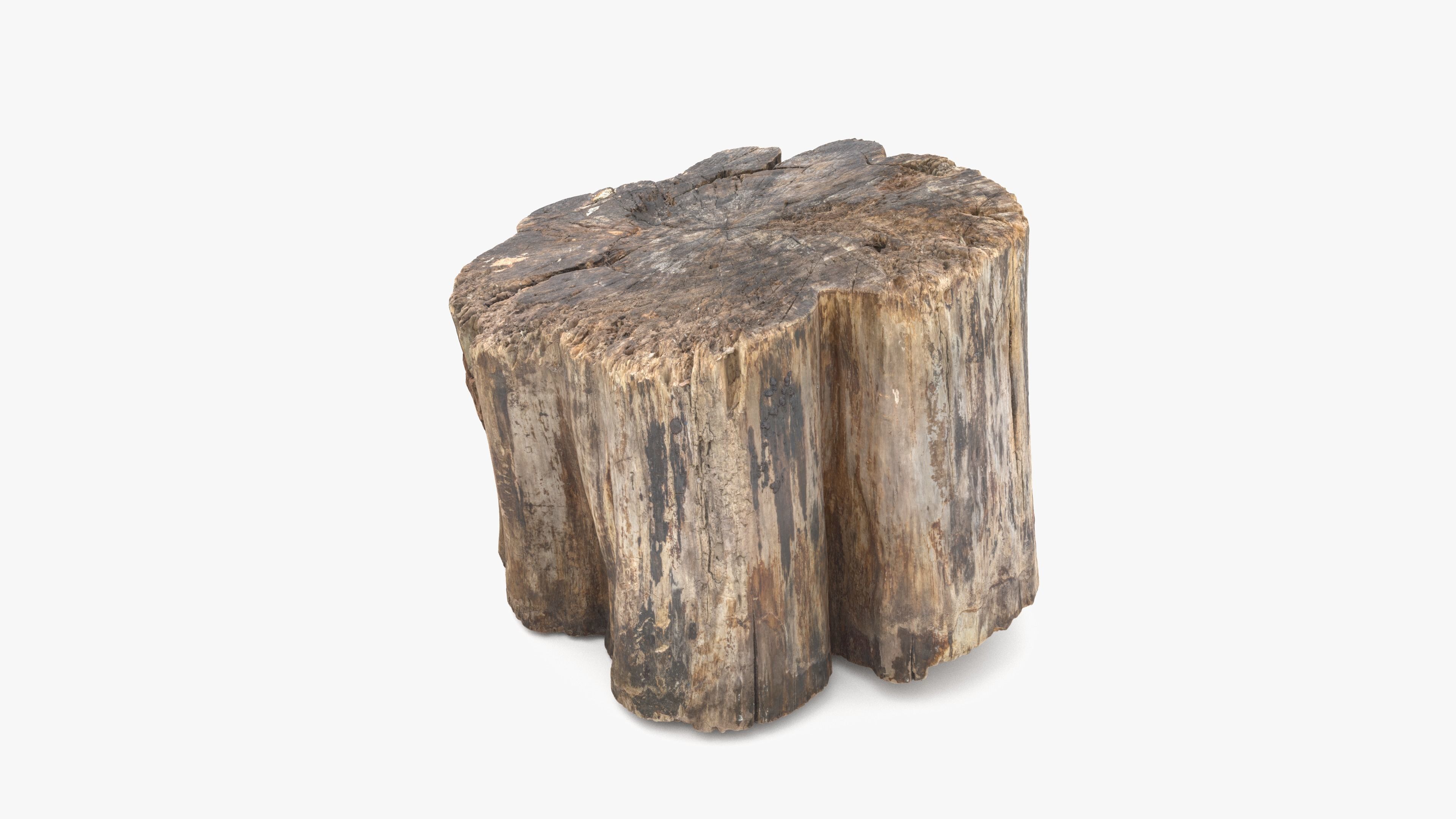 Log Rotten Low-poly 3D model_16