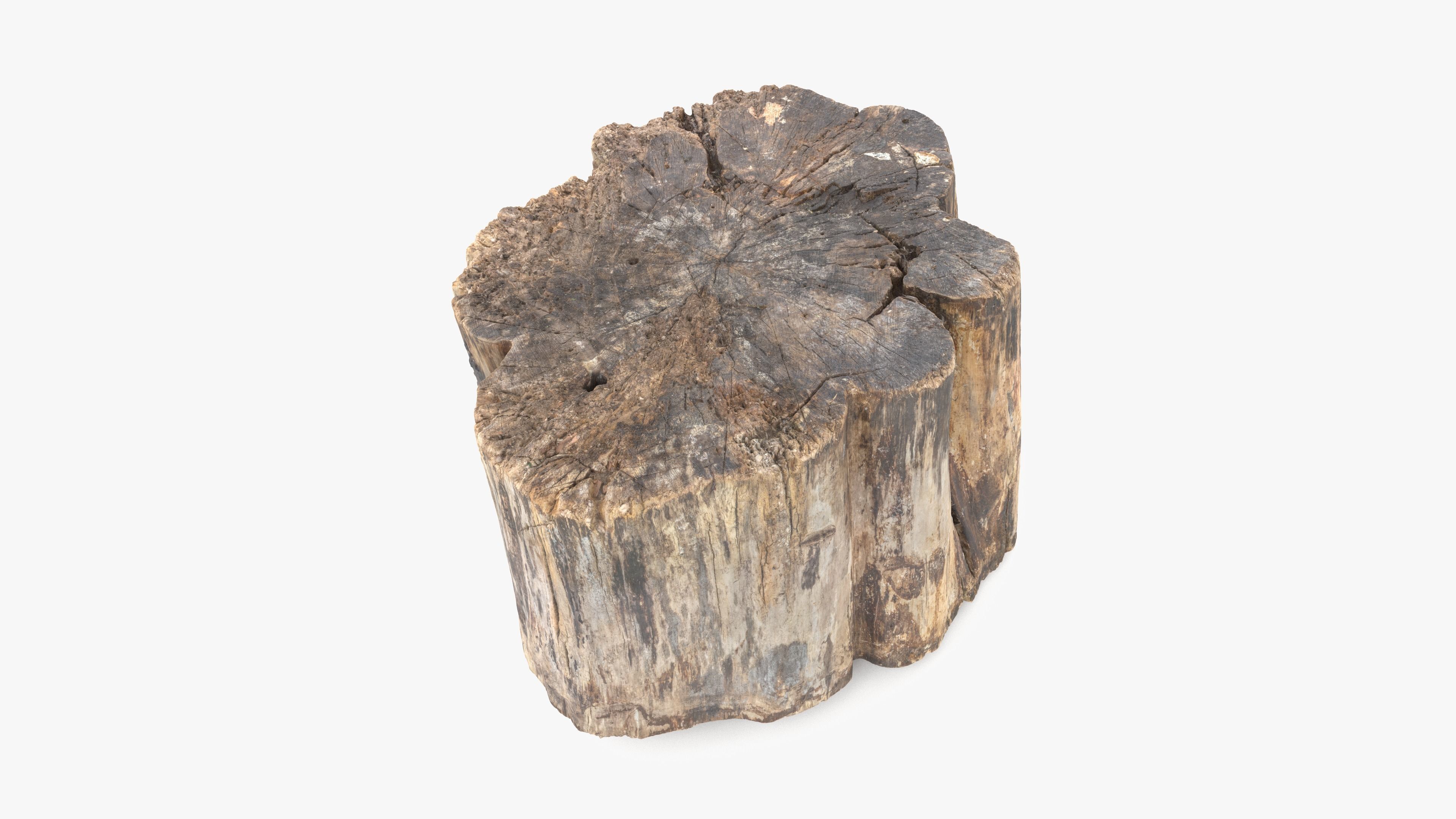 Log Rotten Low-poly 3D model_5