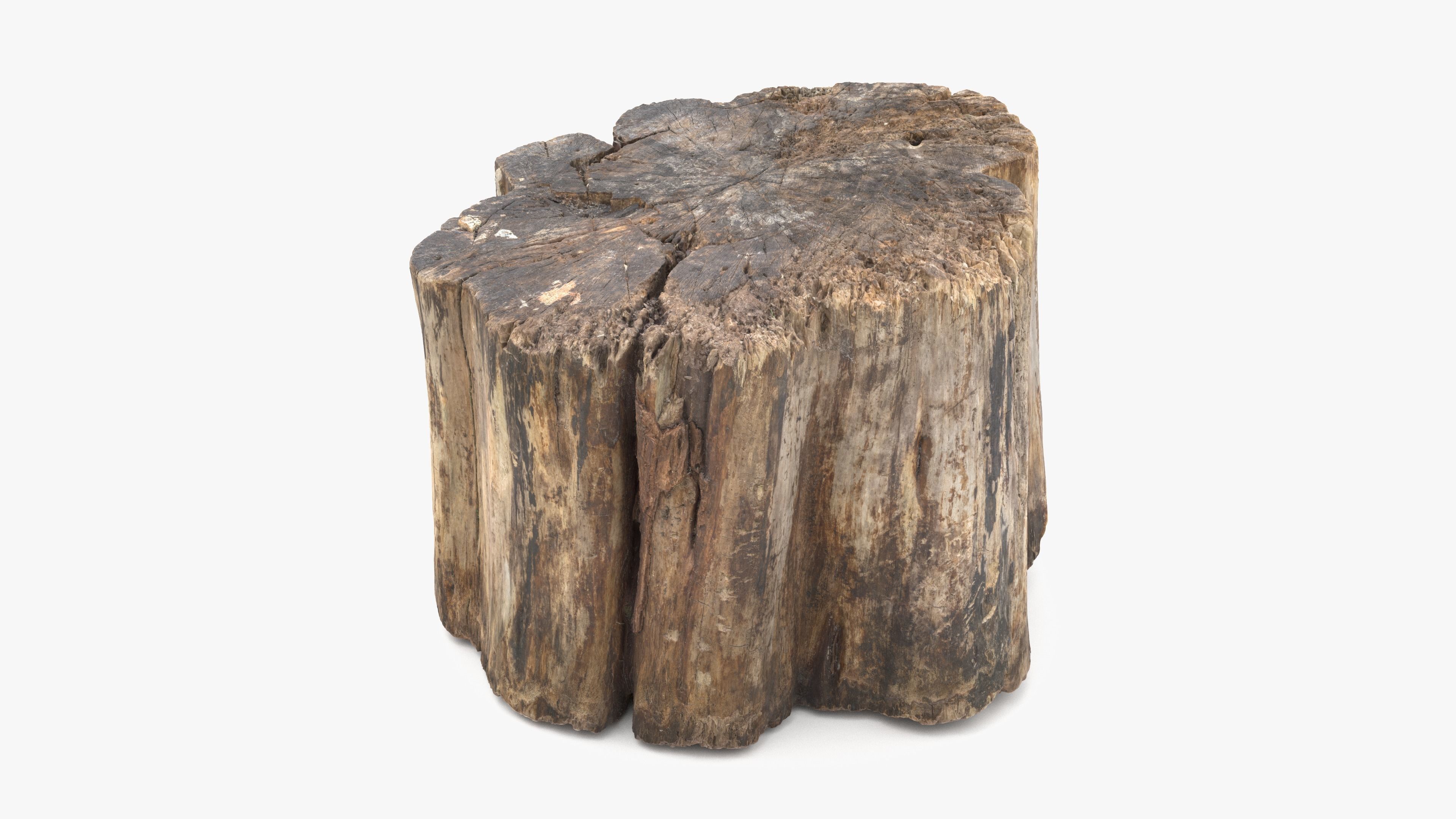 Log Rotten Low-poly 3D model_3