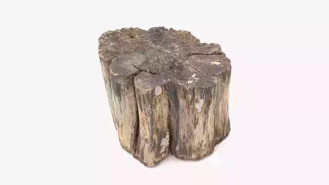 Log Rotten Low-poly 3D model