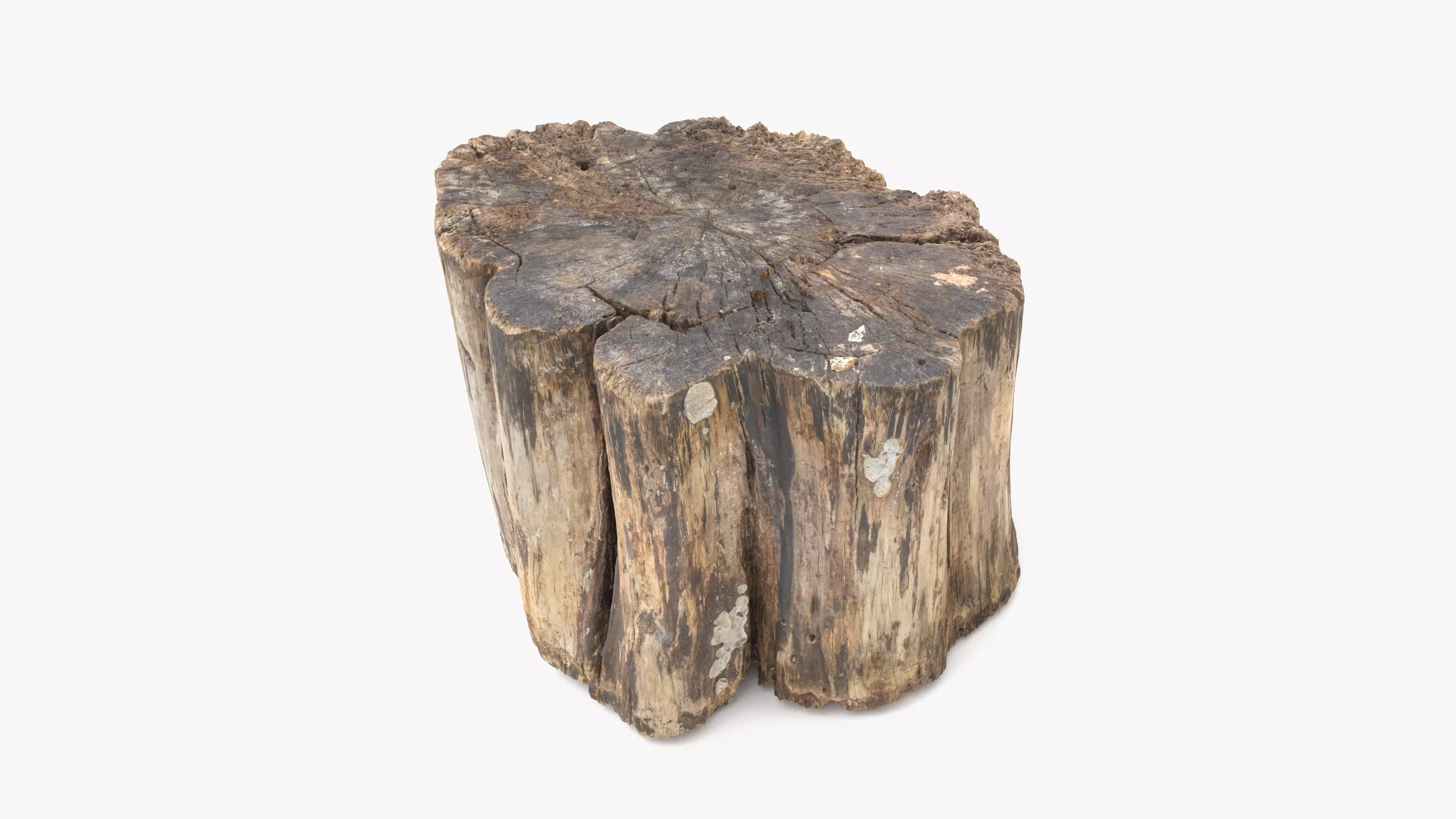 Log Rotten Low-poly 3D model_0