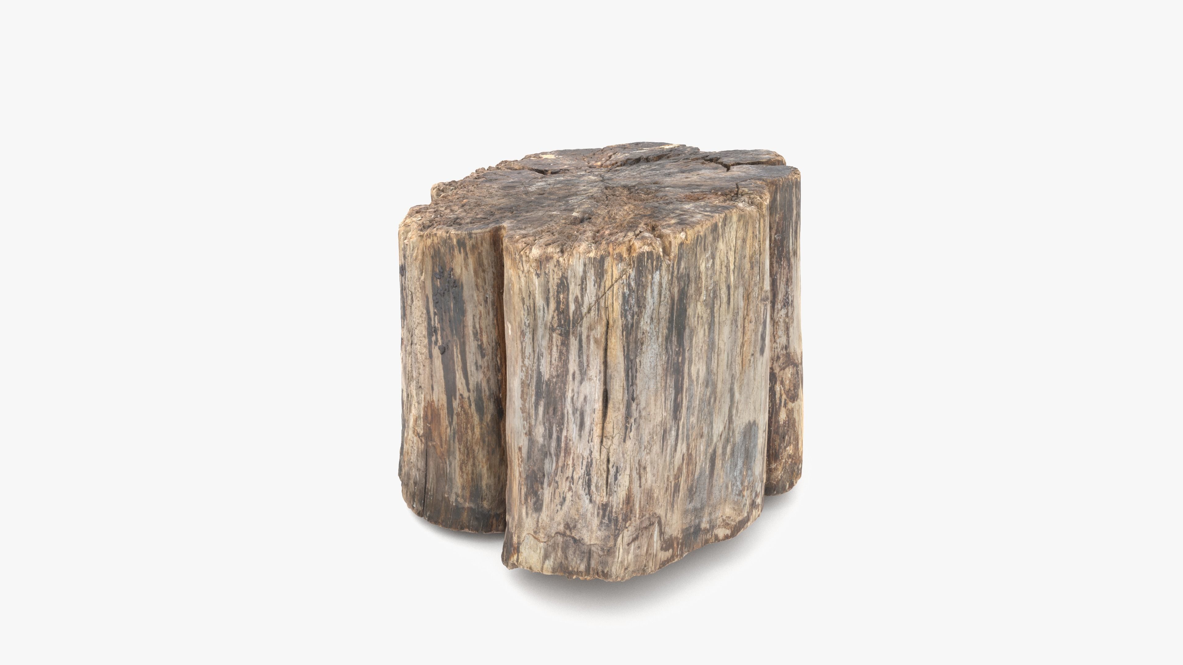 Log Rotten Low-poly 3D model_15