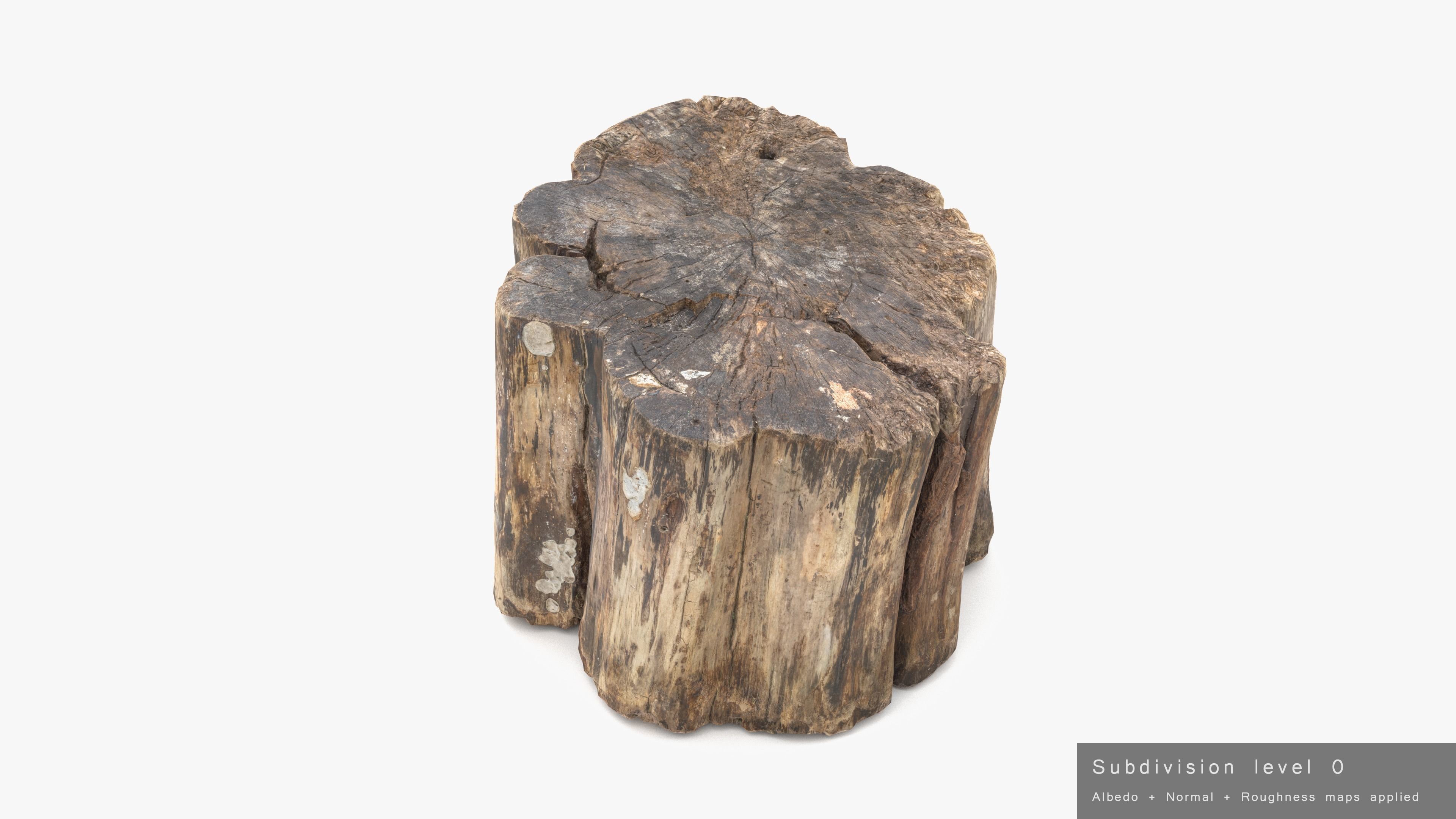 Log Rotten Low-poly 3D model_23