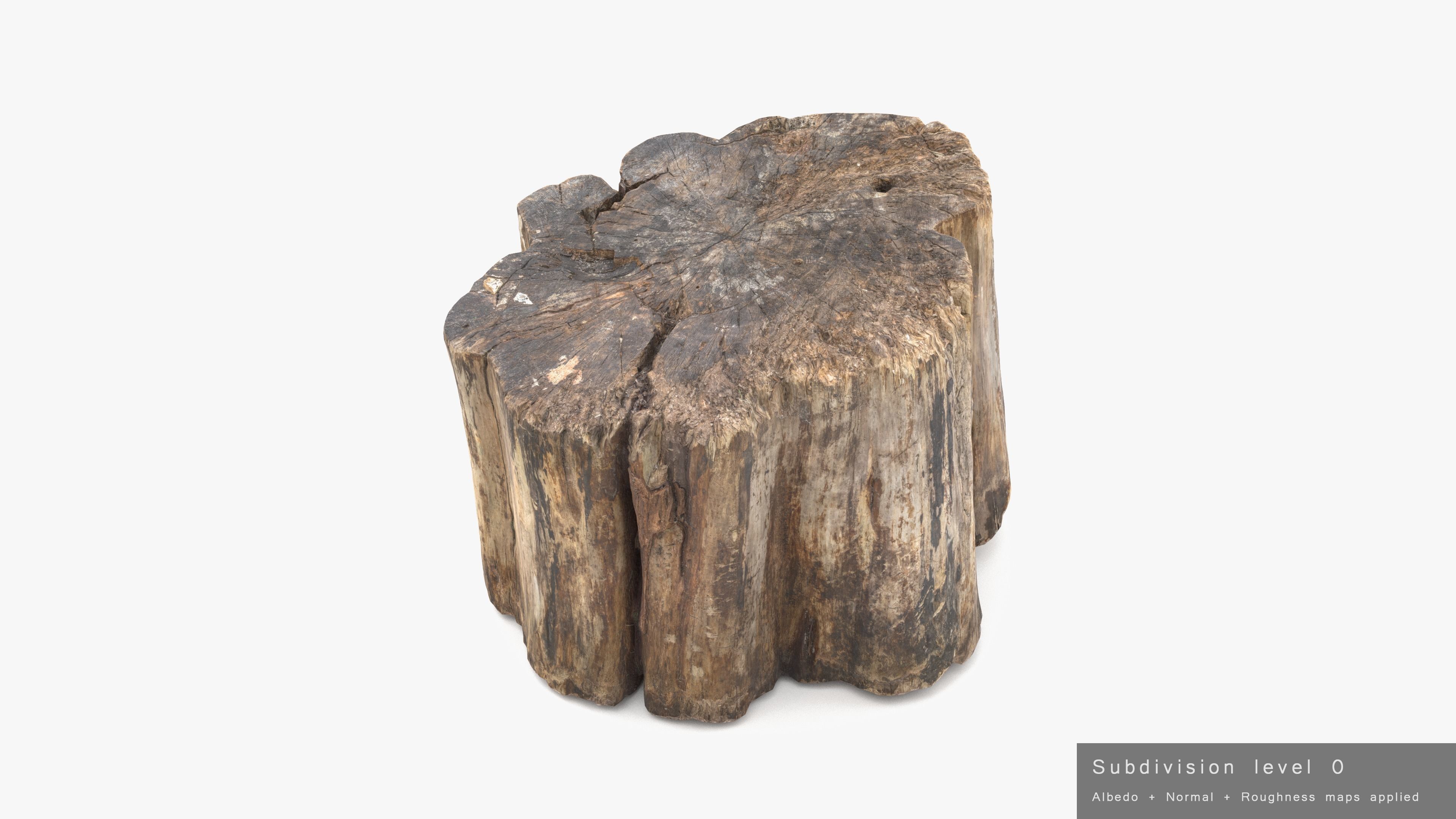 Log Rotten Low-poly 3D model_20