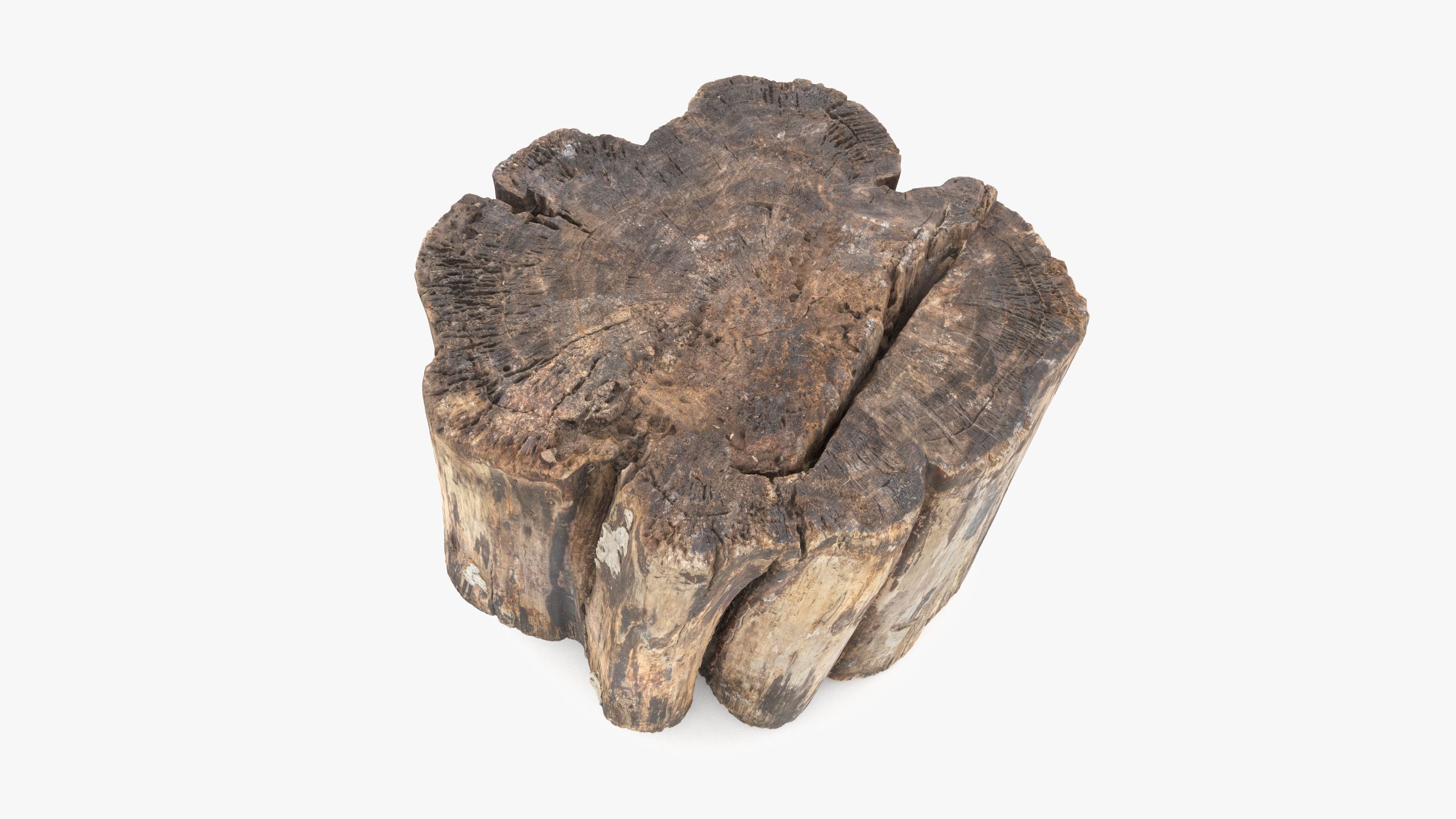 Log Rotten Low-poly 3D model_10